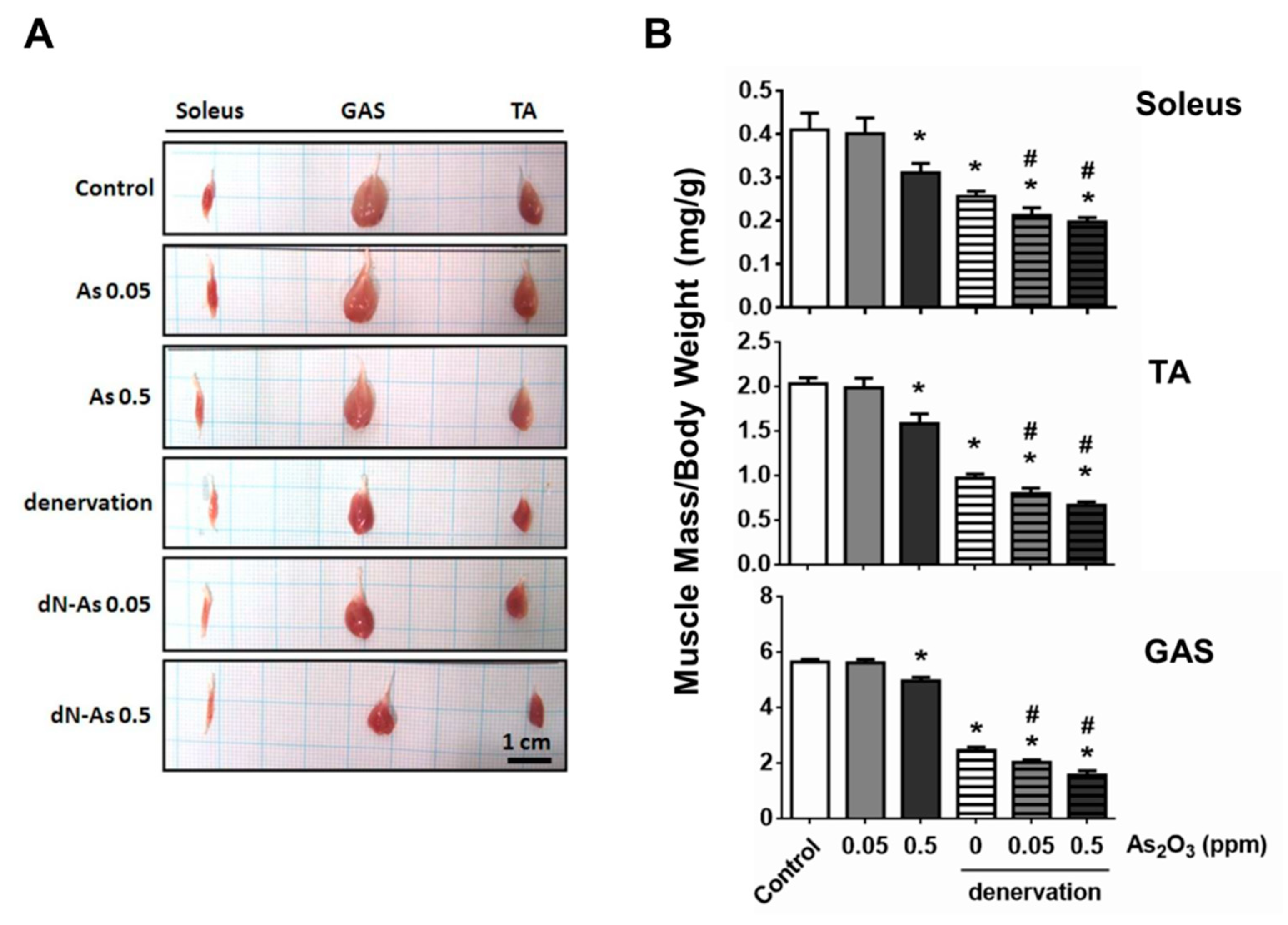 Molecules 25 03057 g002