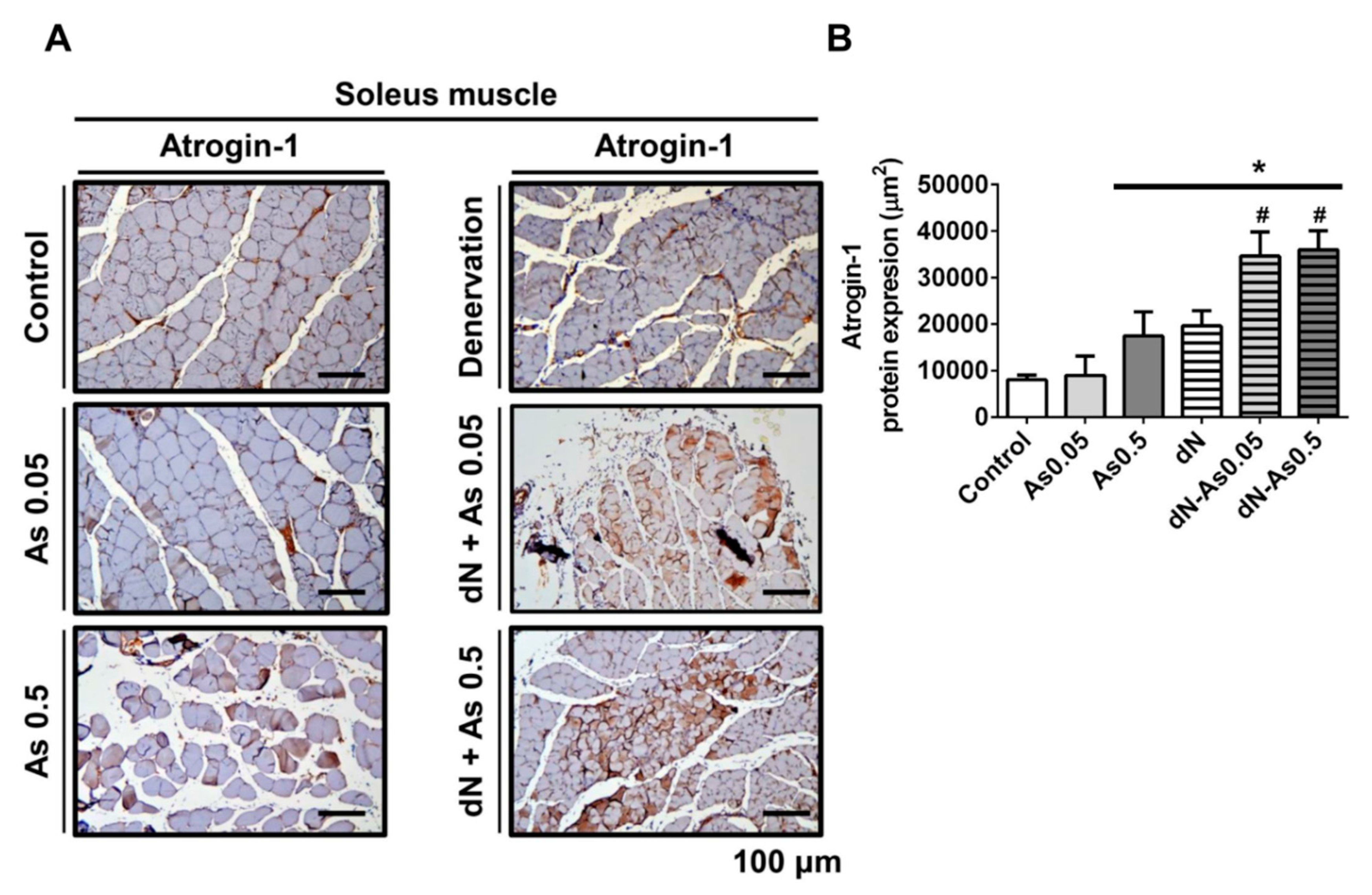Molecules 25 03057 g005