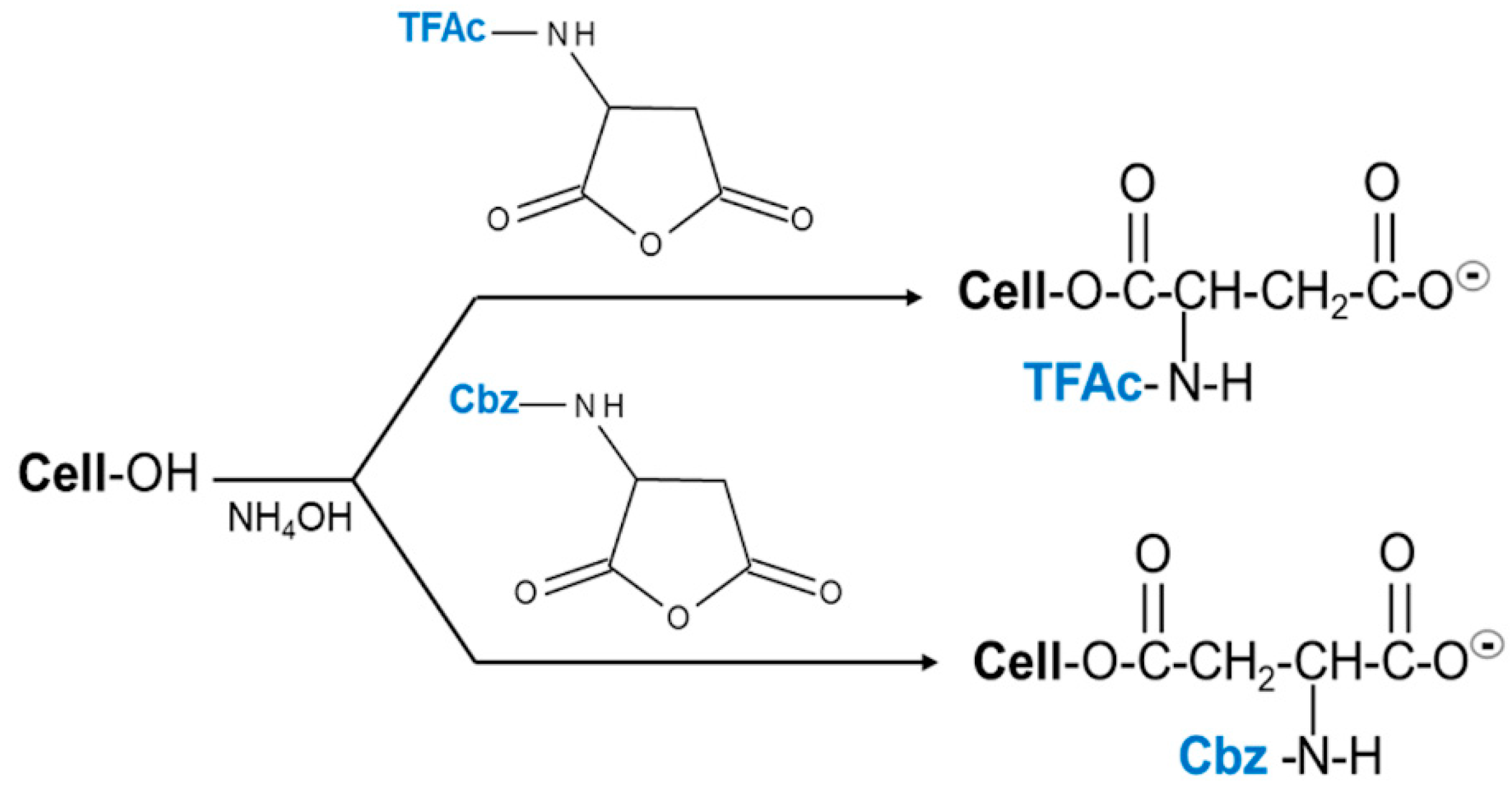 Molecules 25 03065 g008