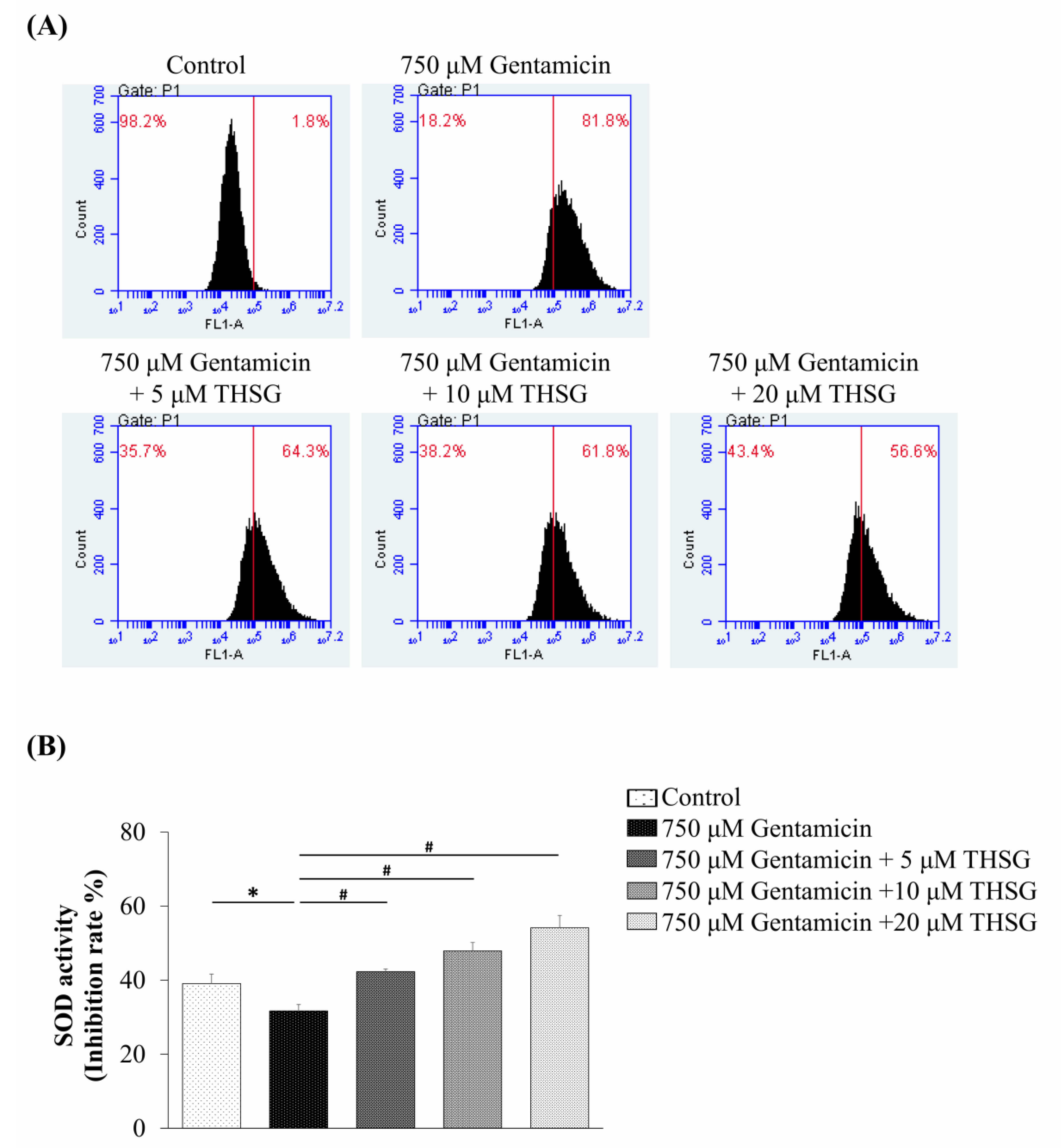 Molecules 25 03070 g002