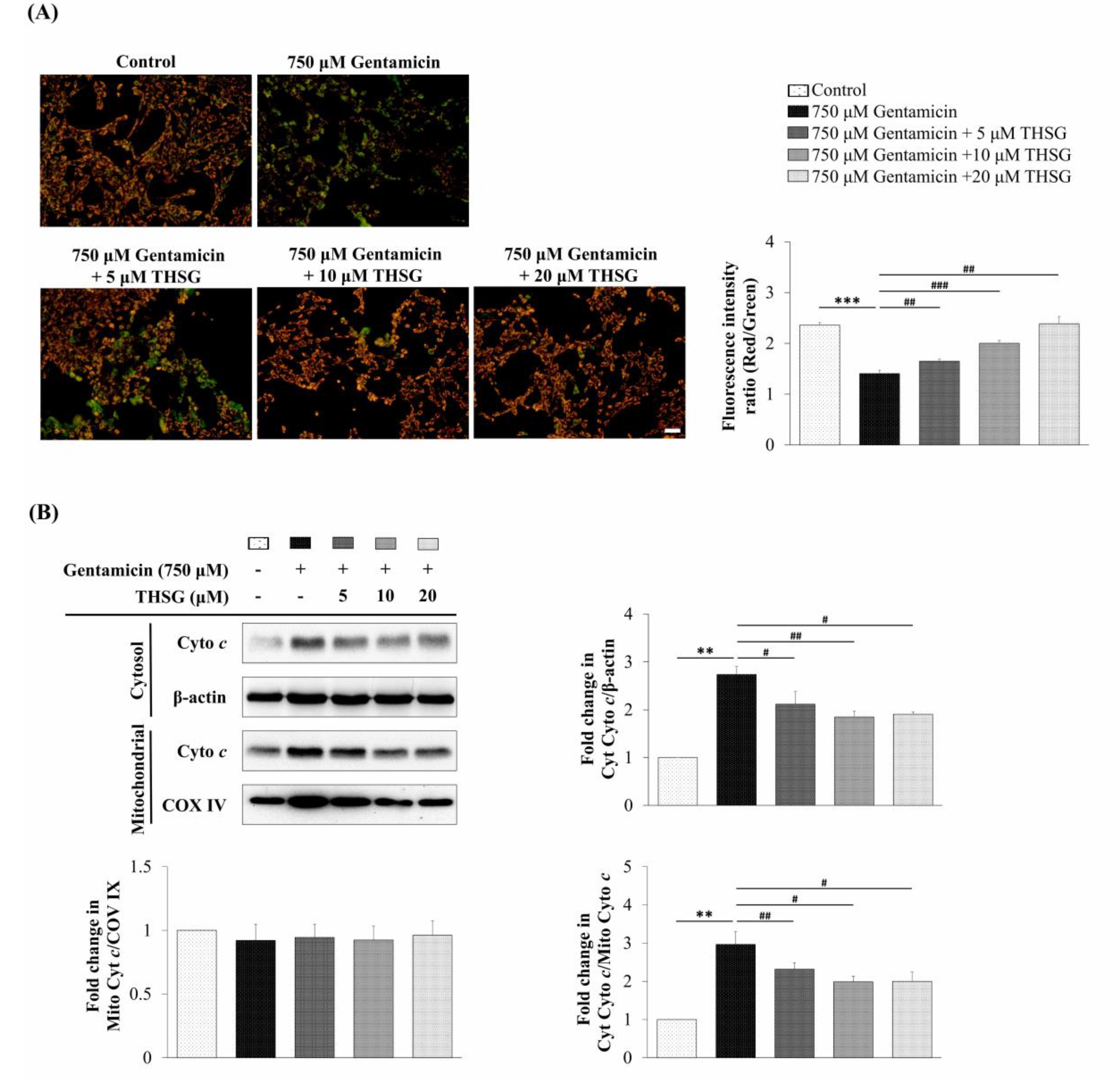 Molecules 25 03070 g003