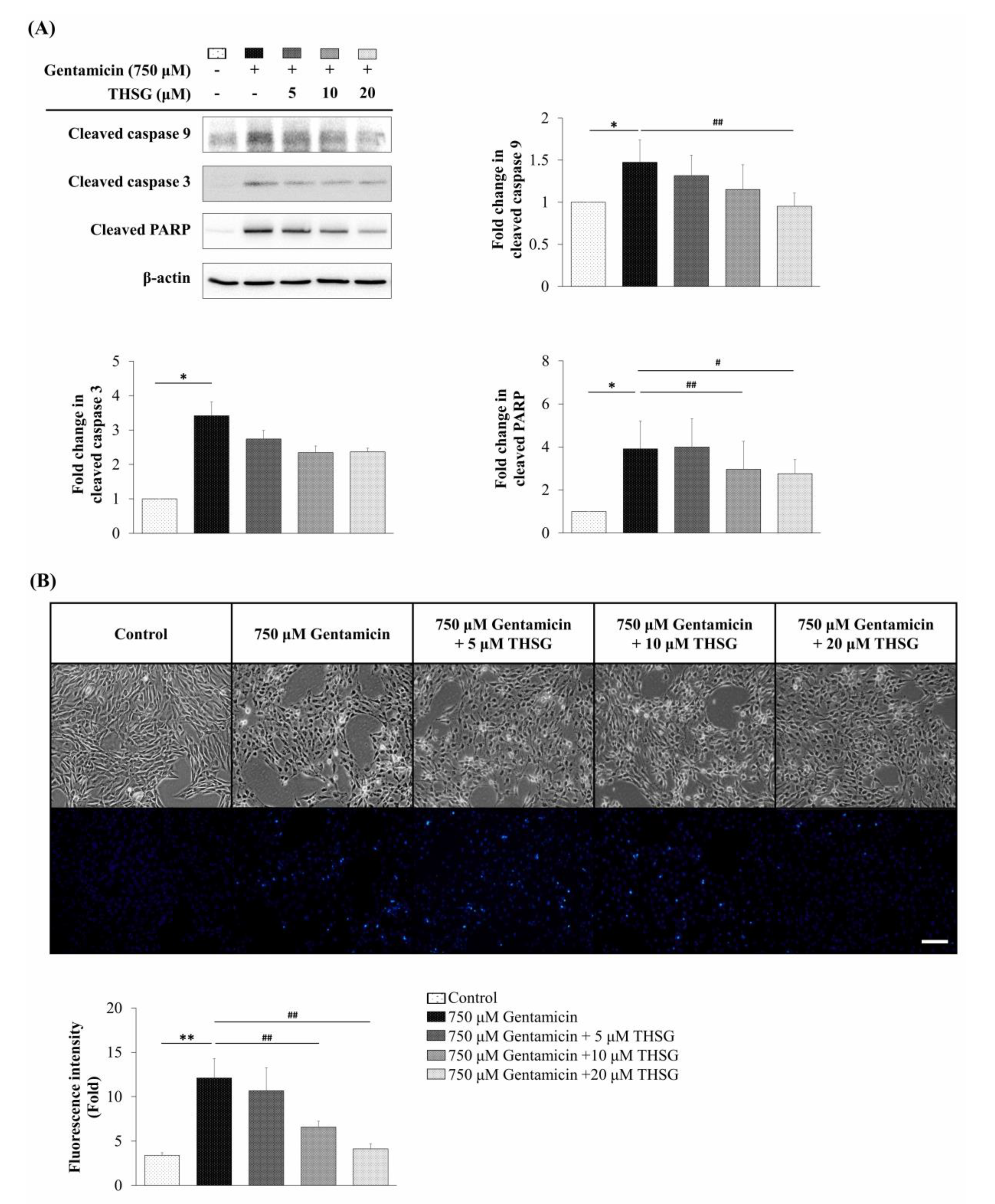 Molecules 25 03070 g004