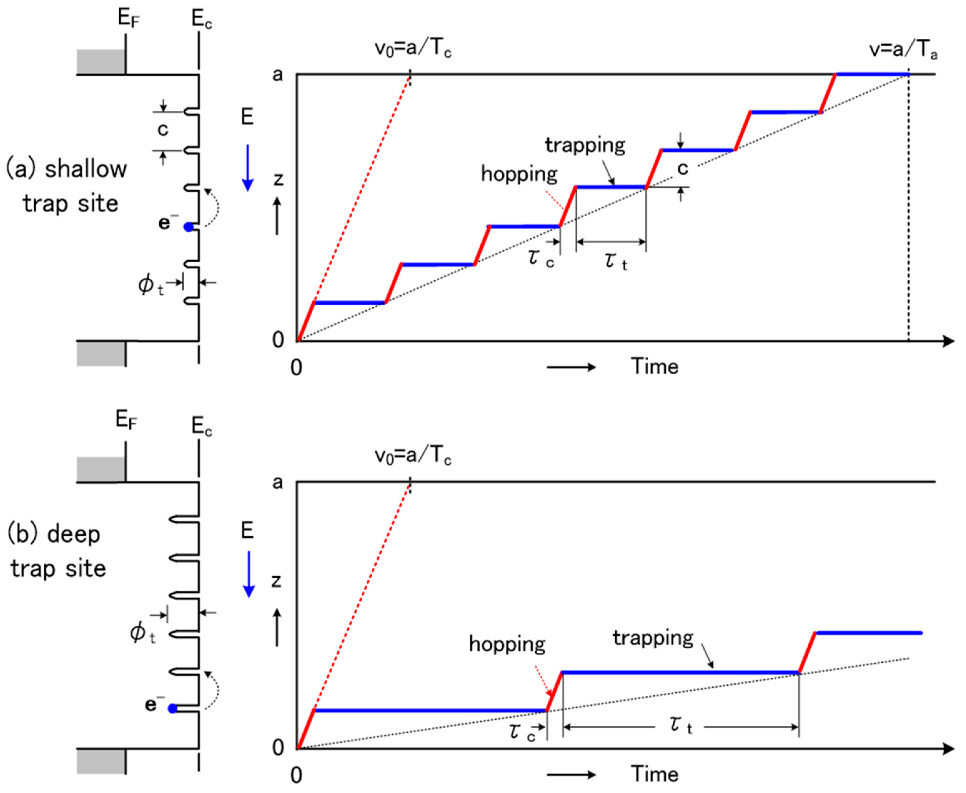 Molecules 25 03071 g003