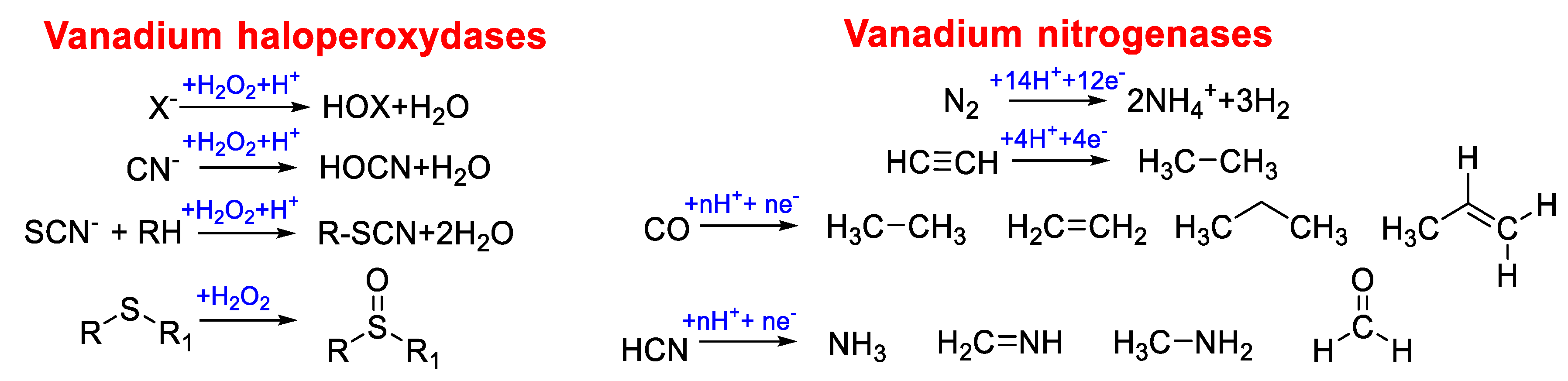 Molecules 25 03073 g002