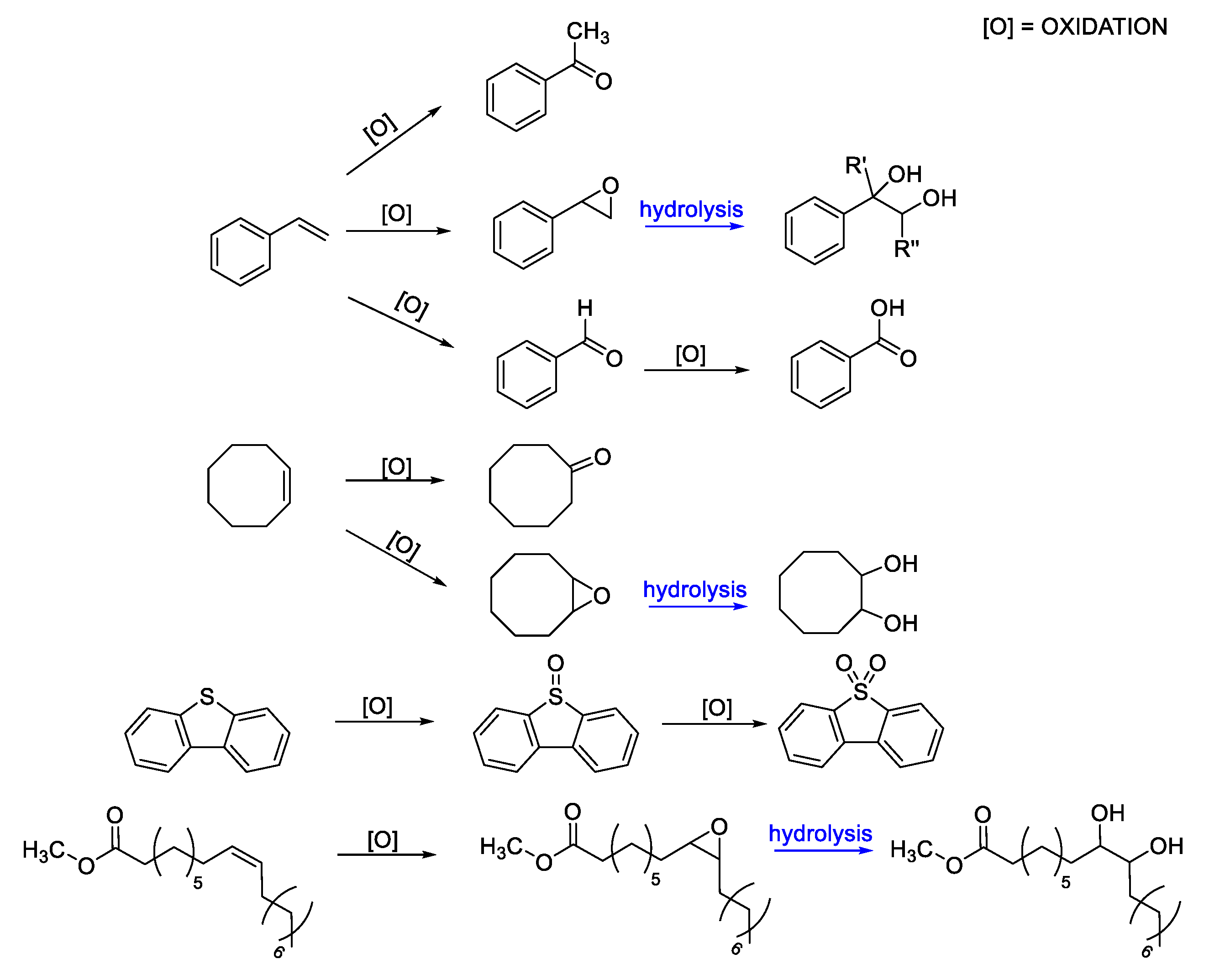 Molecules 25 03073 g006