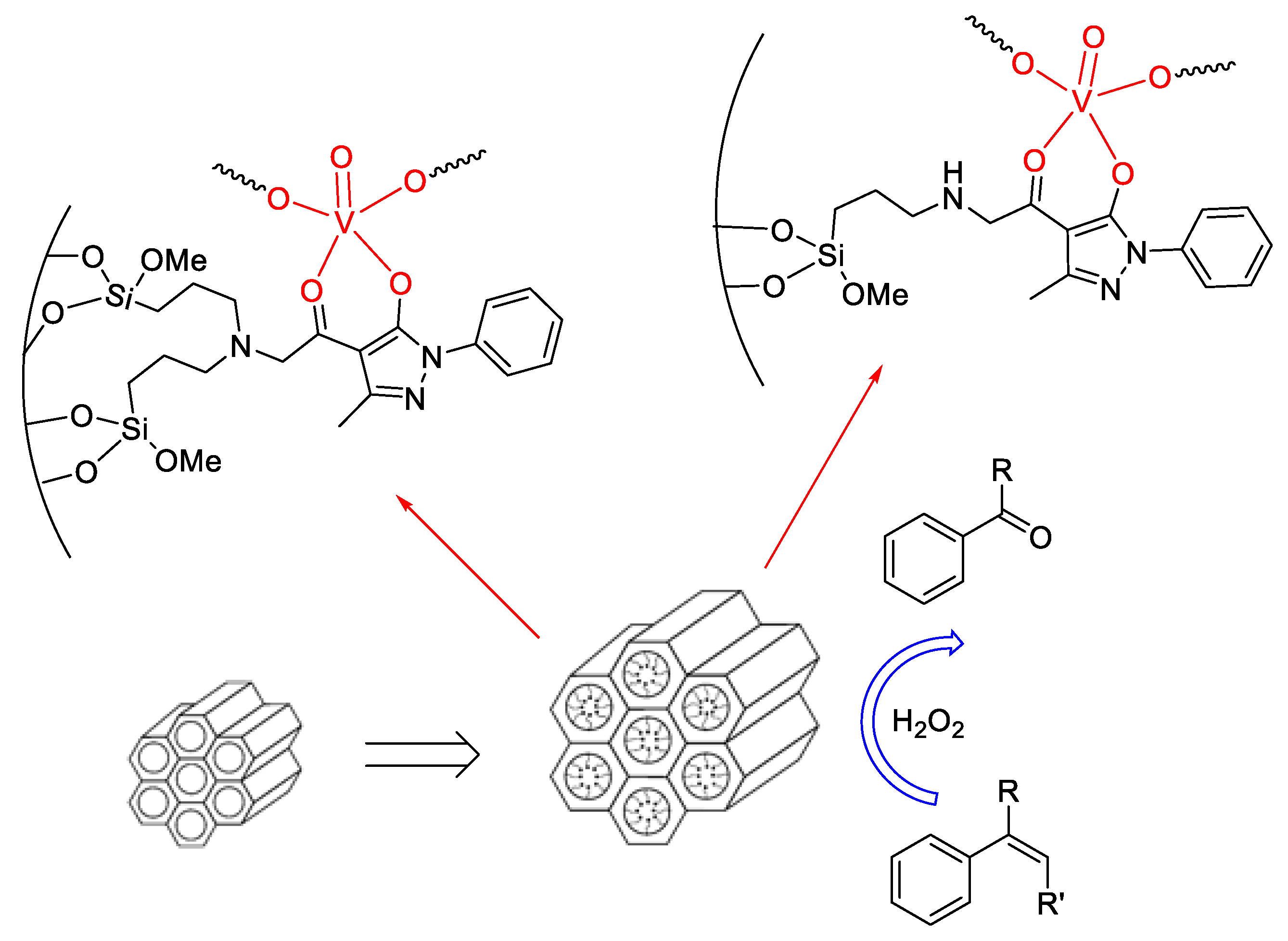 Molecules 25 03073 g007