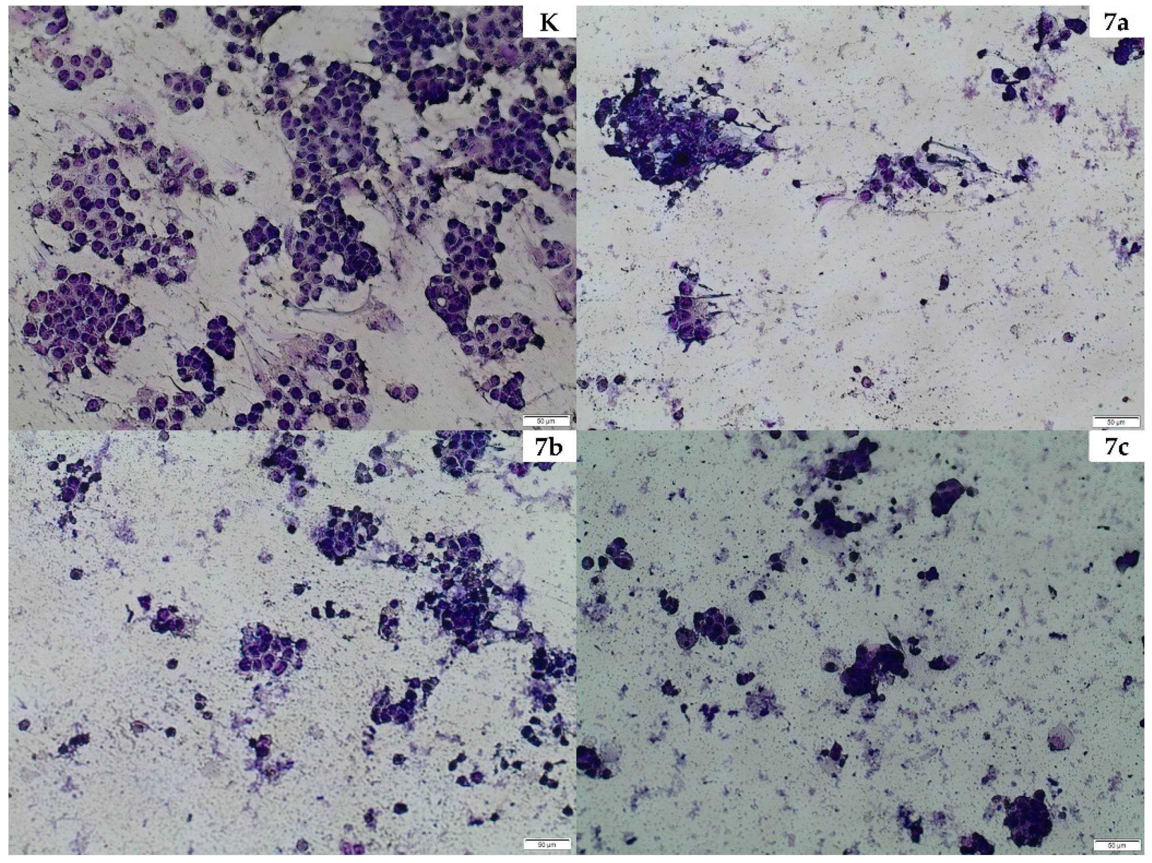 Molecules 25 03080 g004