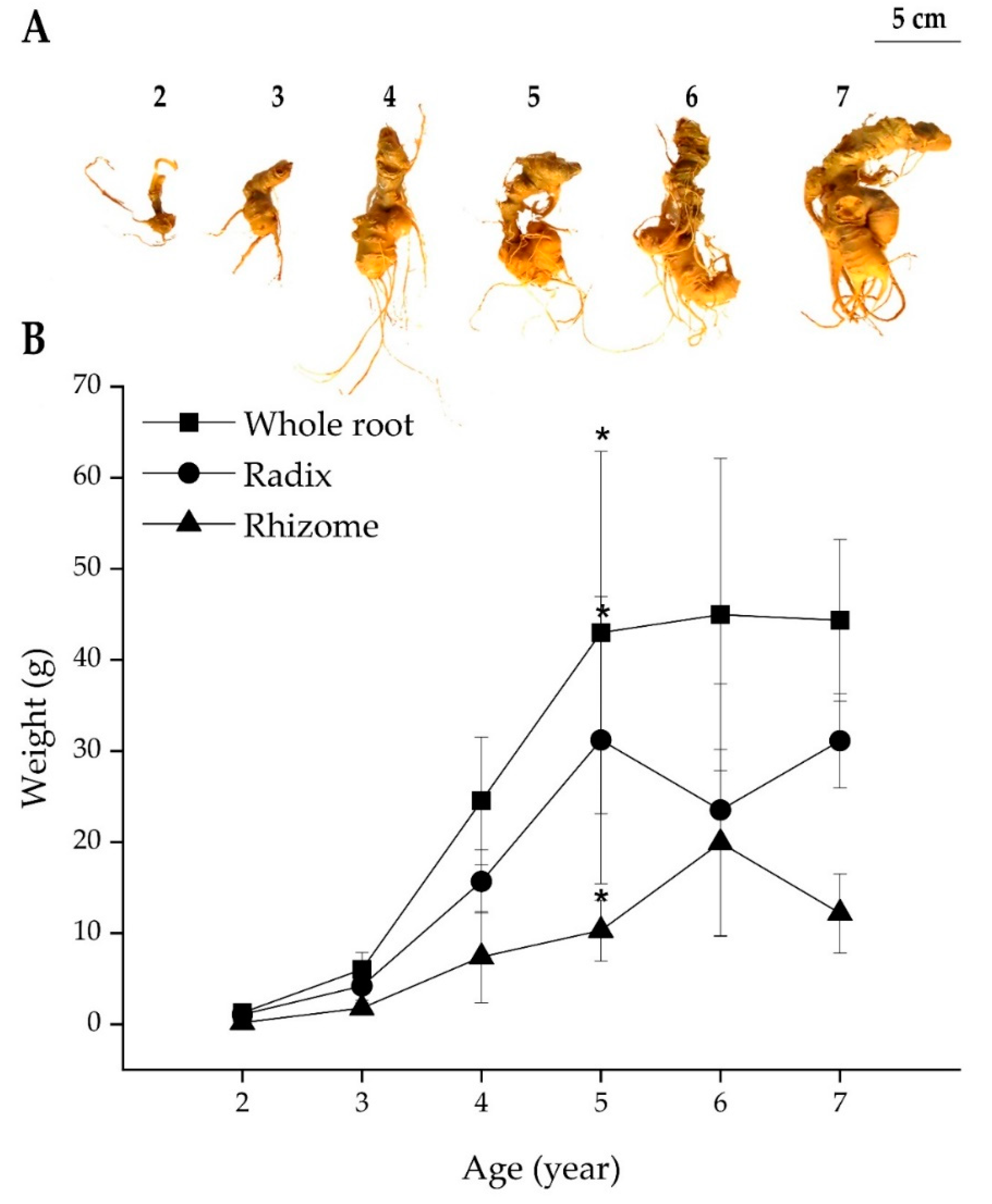 Molecules 25 03086 g004 Molecules 25 03086 g004