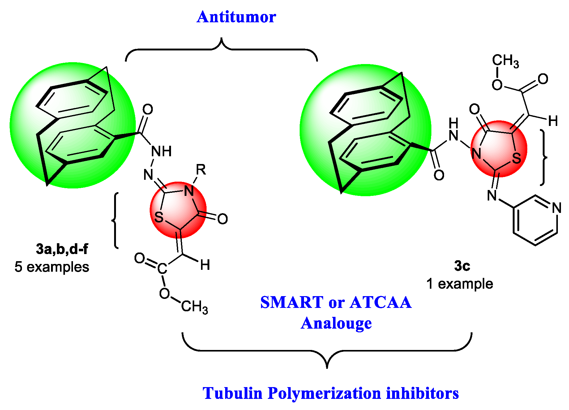 Molecules 25 03089 g003