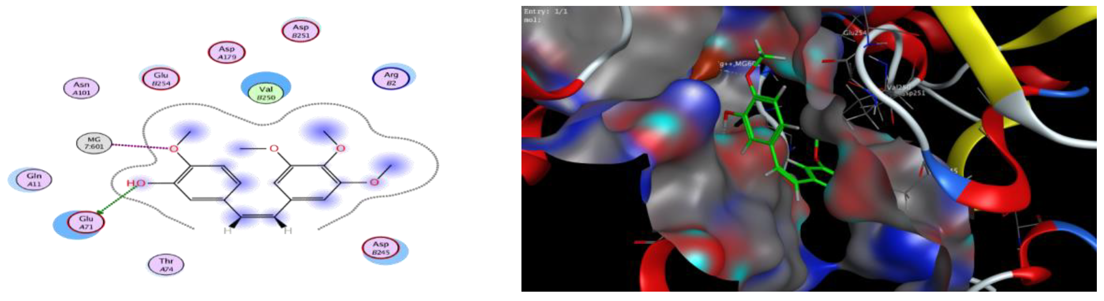 Molecules 25 03089 g015