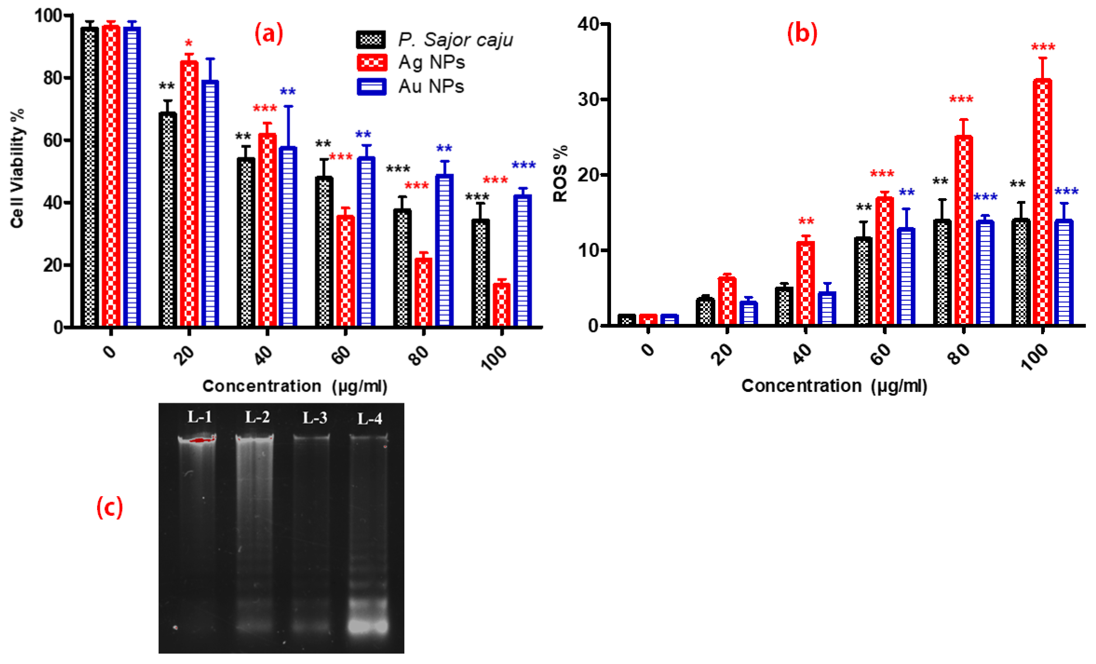 Molecules 25 03091 g008