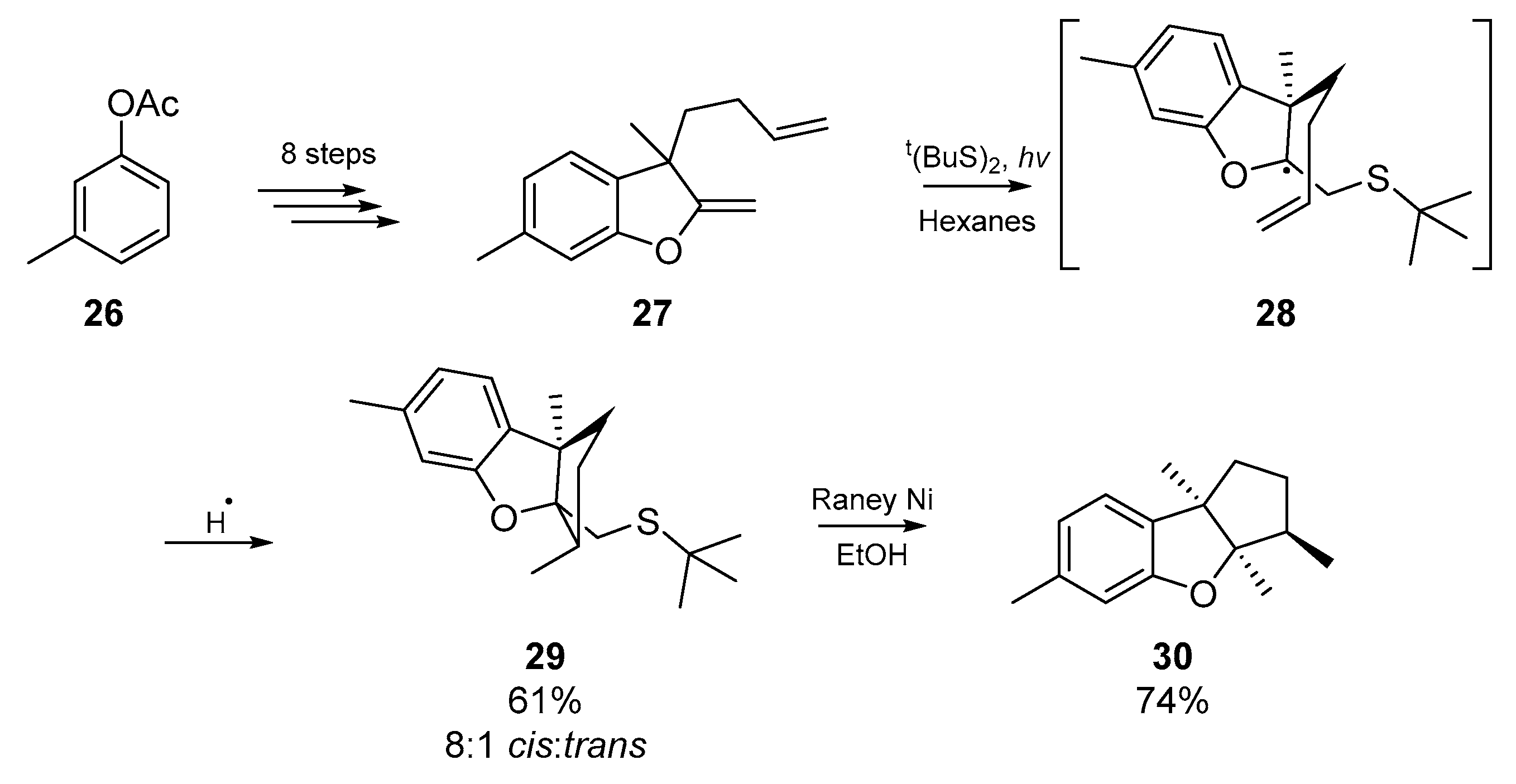 Molecules 25 03094 sch005 Molecules 25 03094 sch005