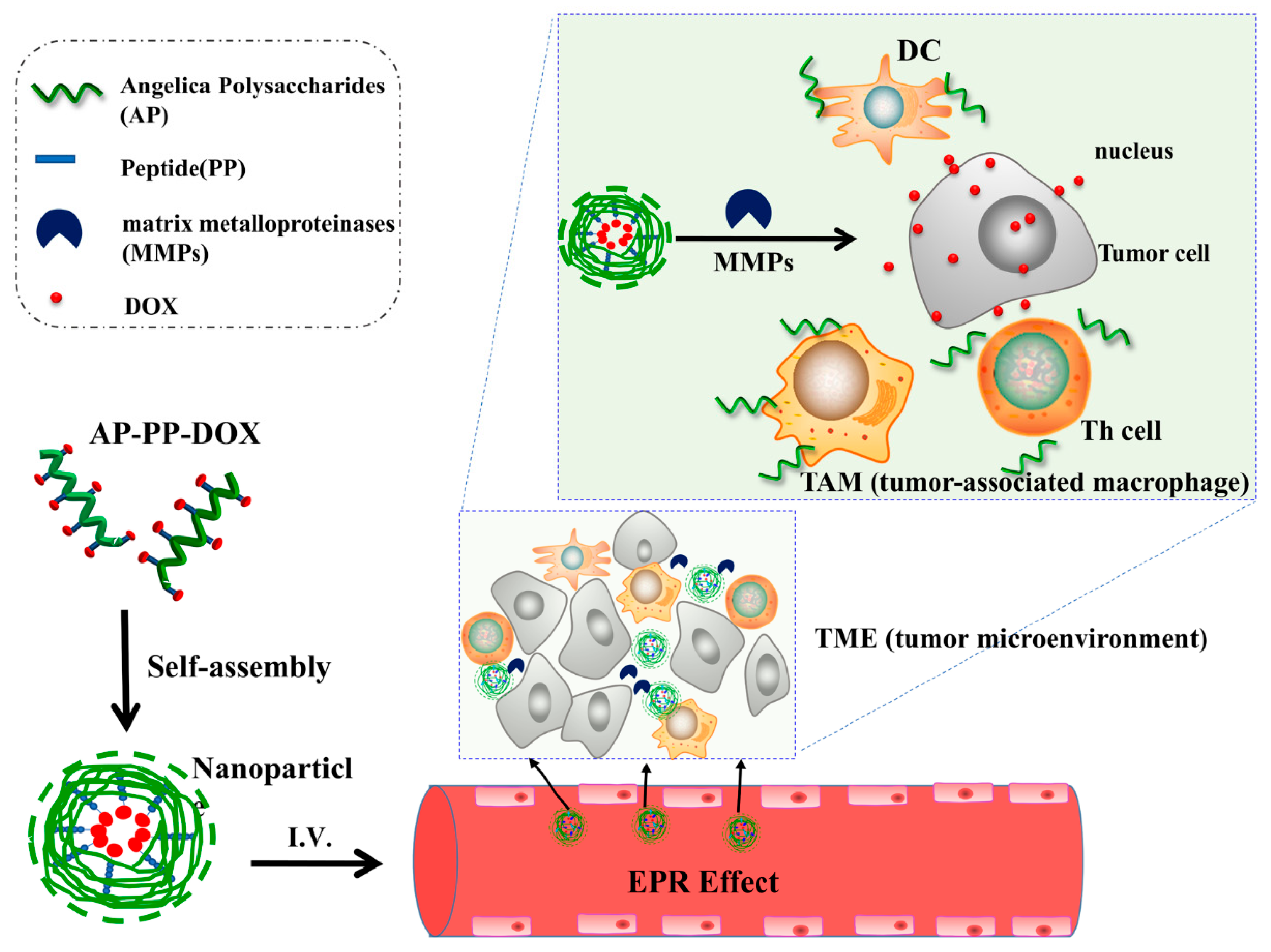 Molecules 25 03096 g001