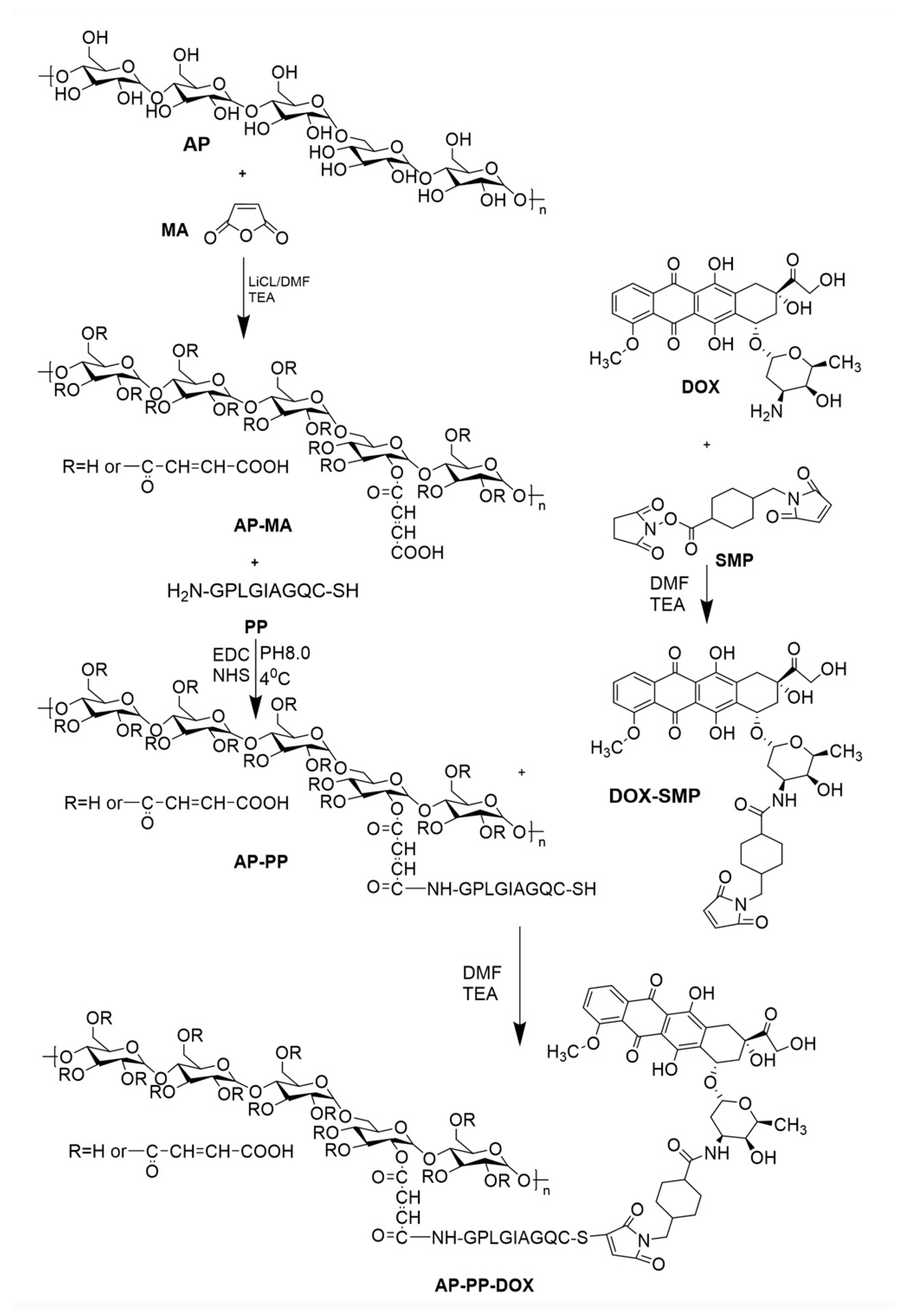 Molecules 25 03096 g002