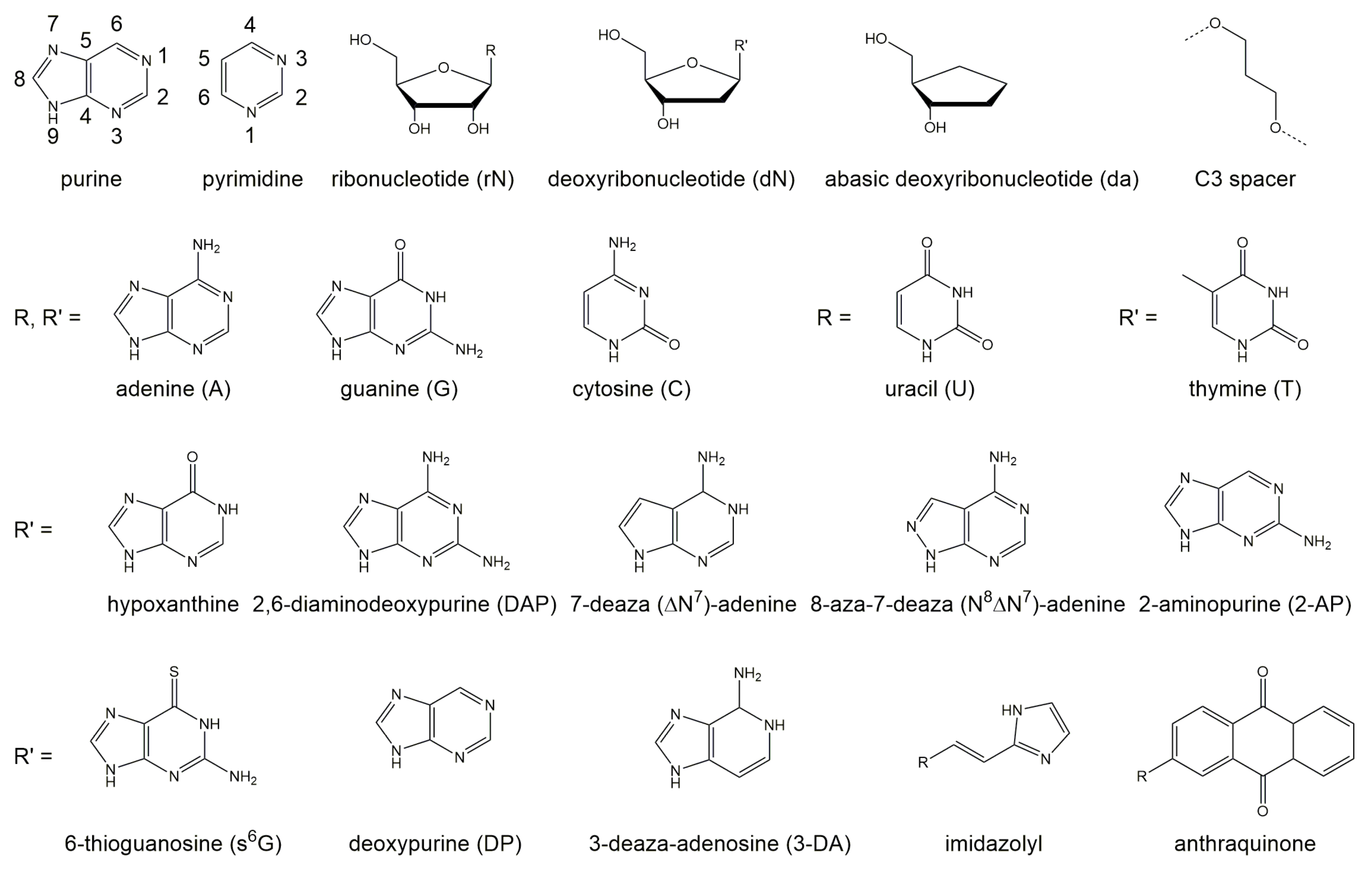 Molecules 25 03100 g003