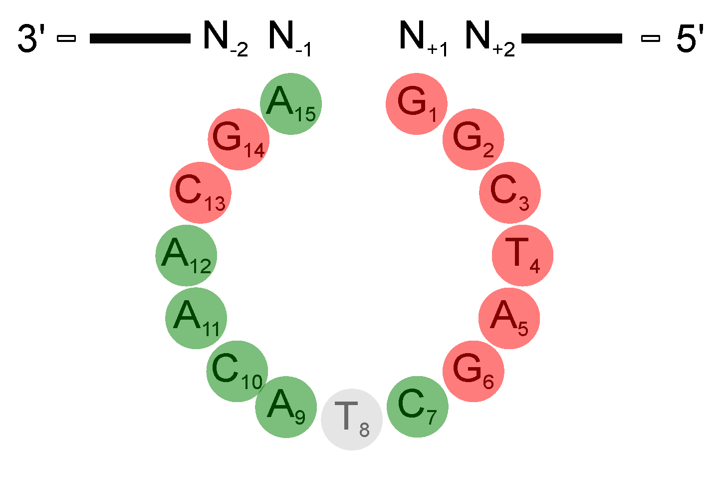 Molecules 25 03100 g004