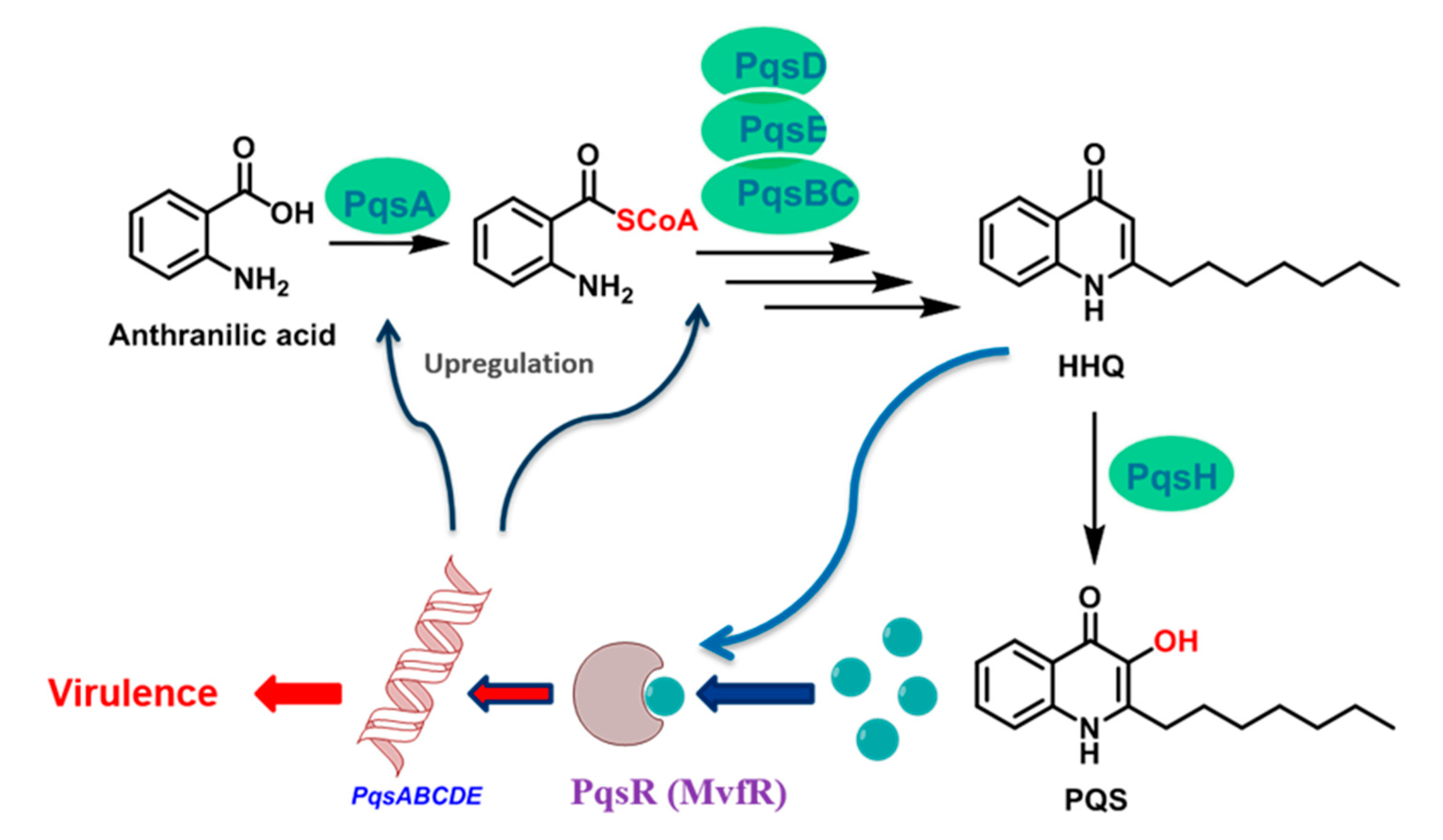 Molecules 25 03103 g001