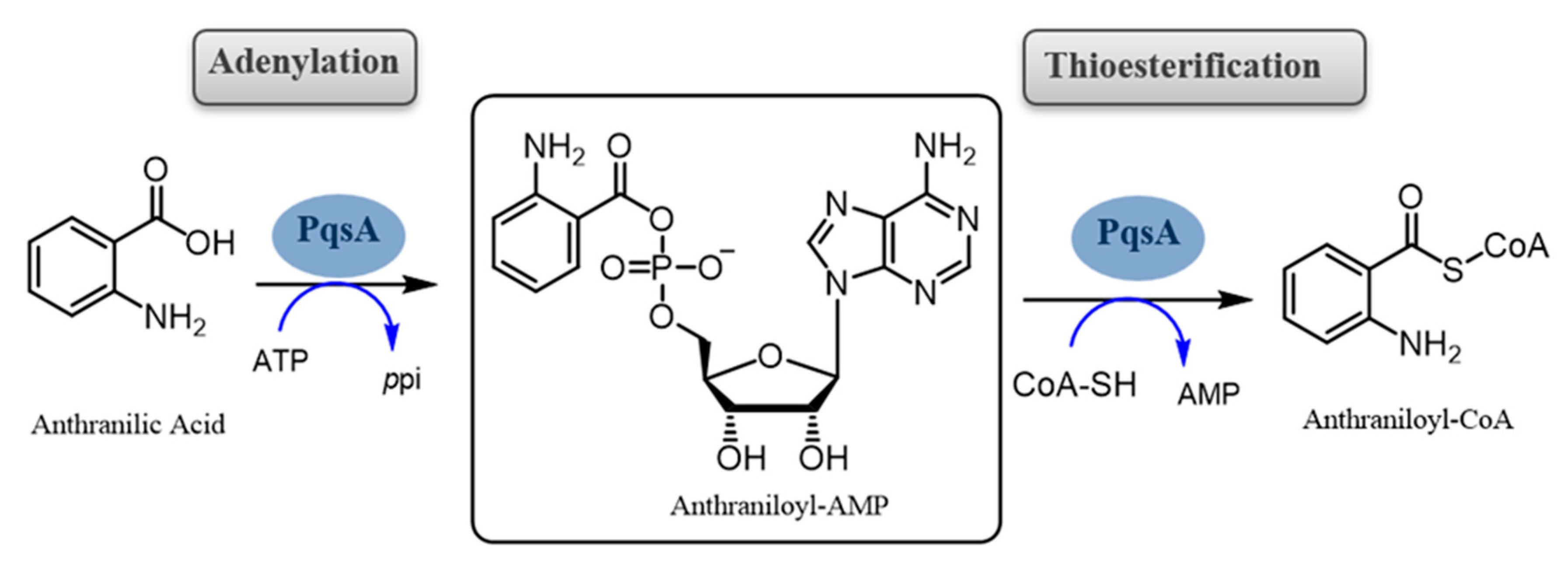 Molecules 25 03103 g002