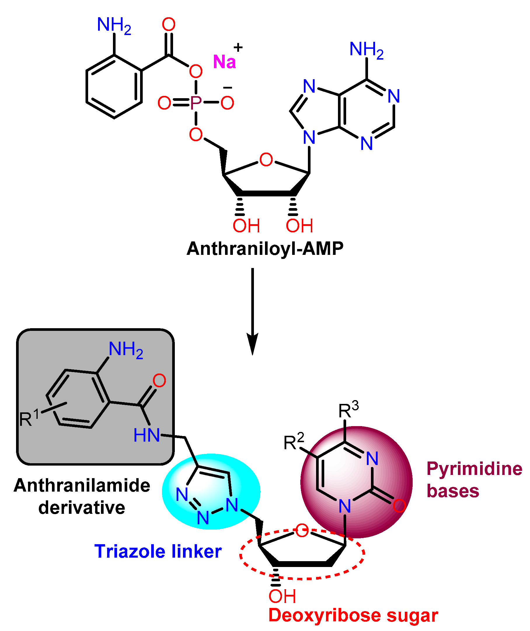 Molecules 25 03103 g004