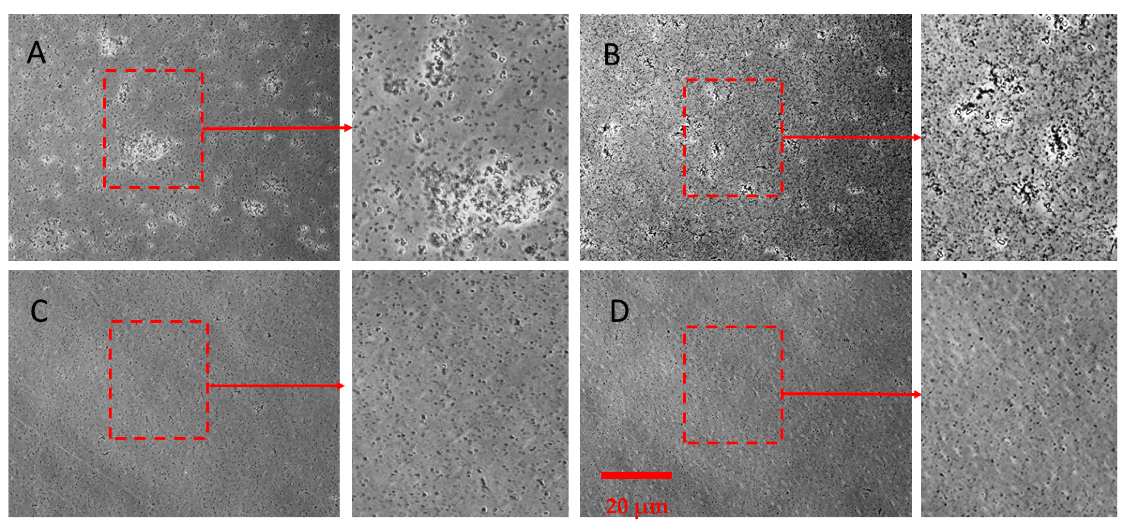 Molecules 25 03103 g007