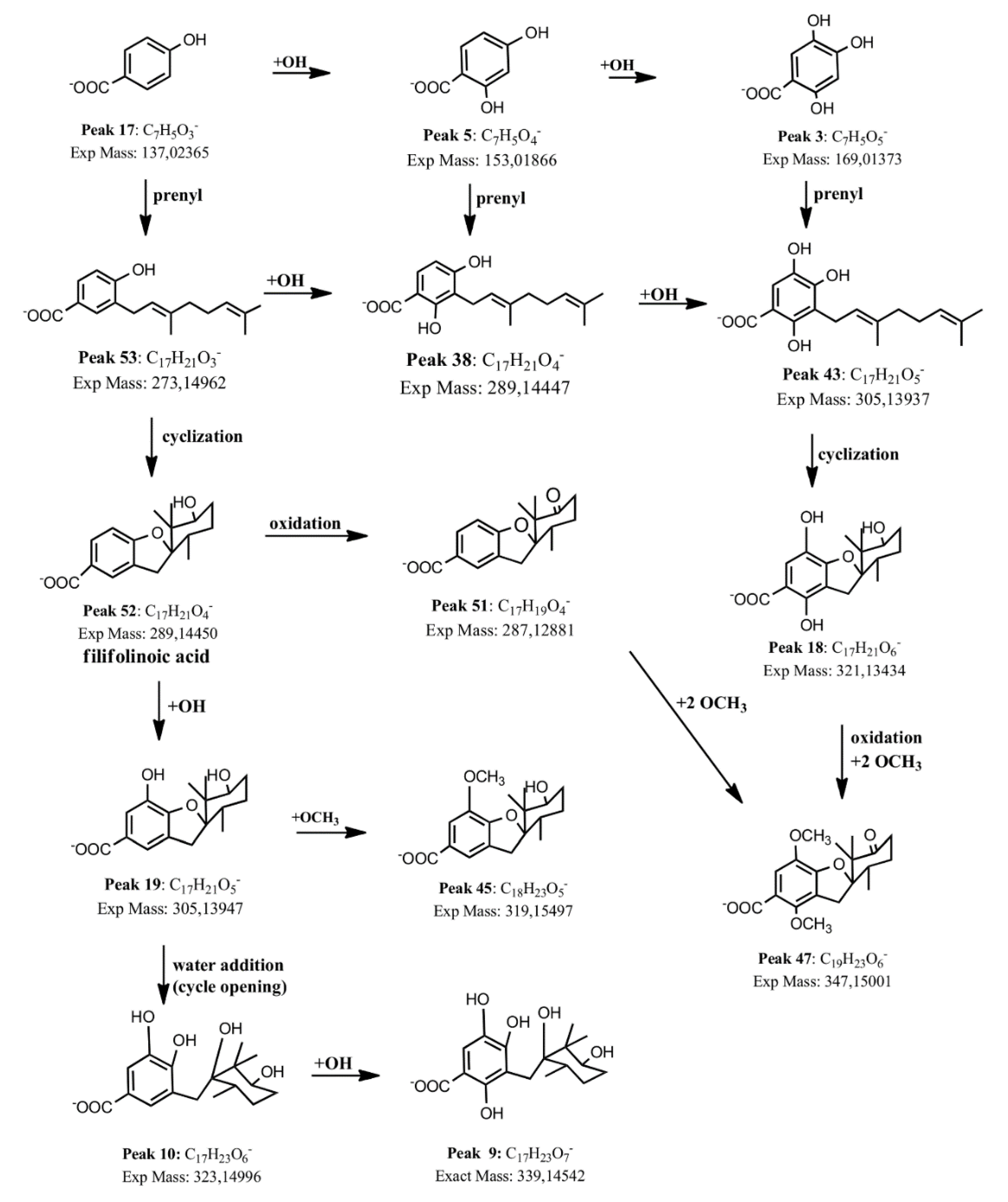 Molecules 25 03105 g003