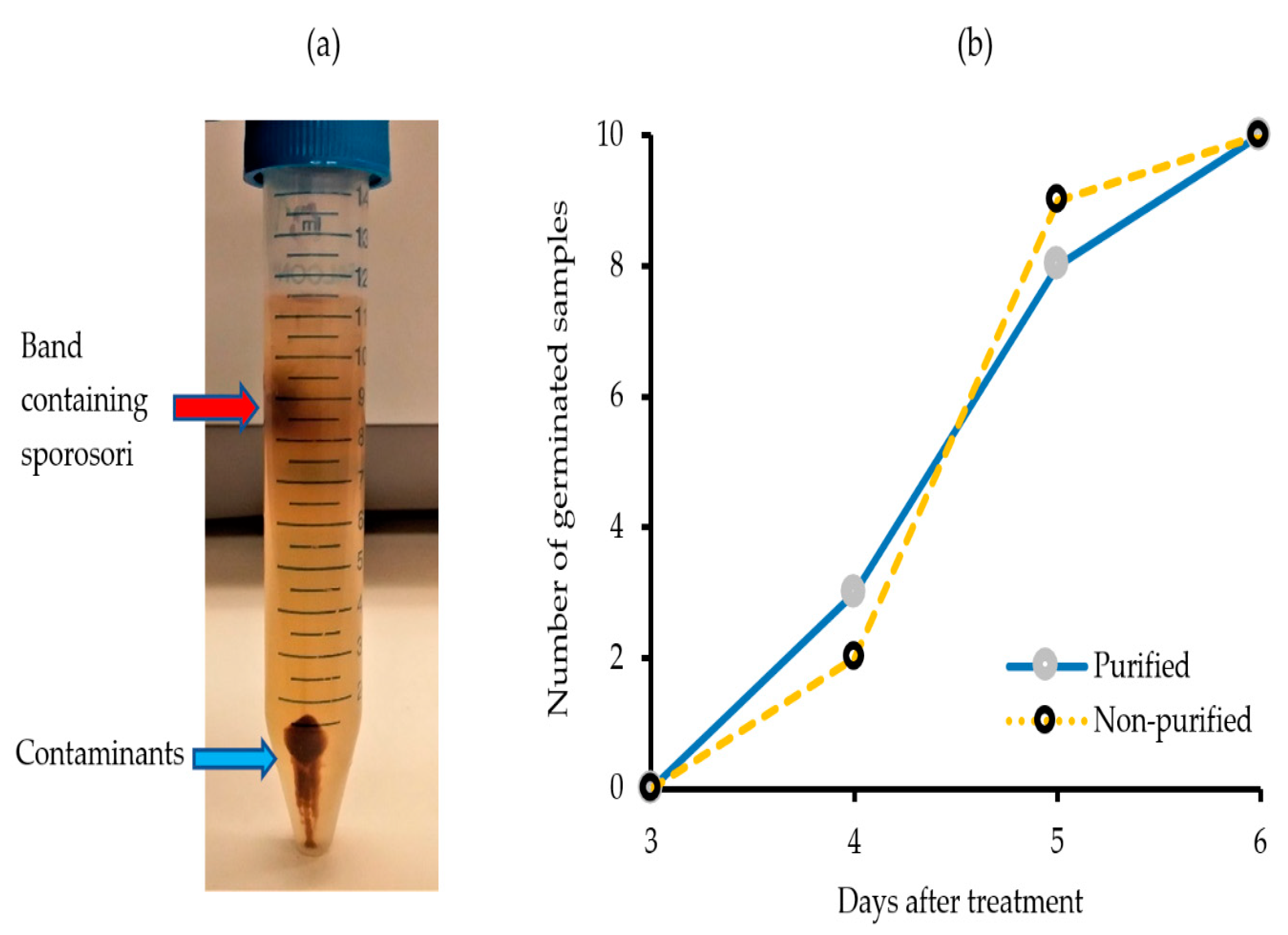 Molecules 25 03109 g001