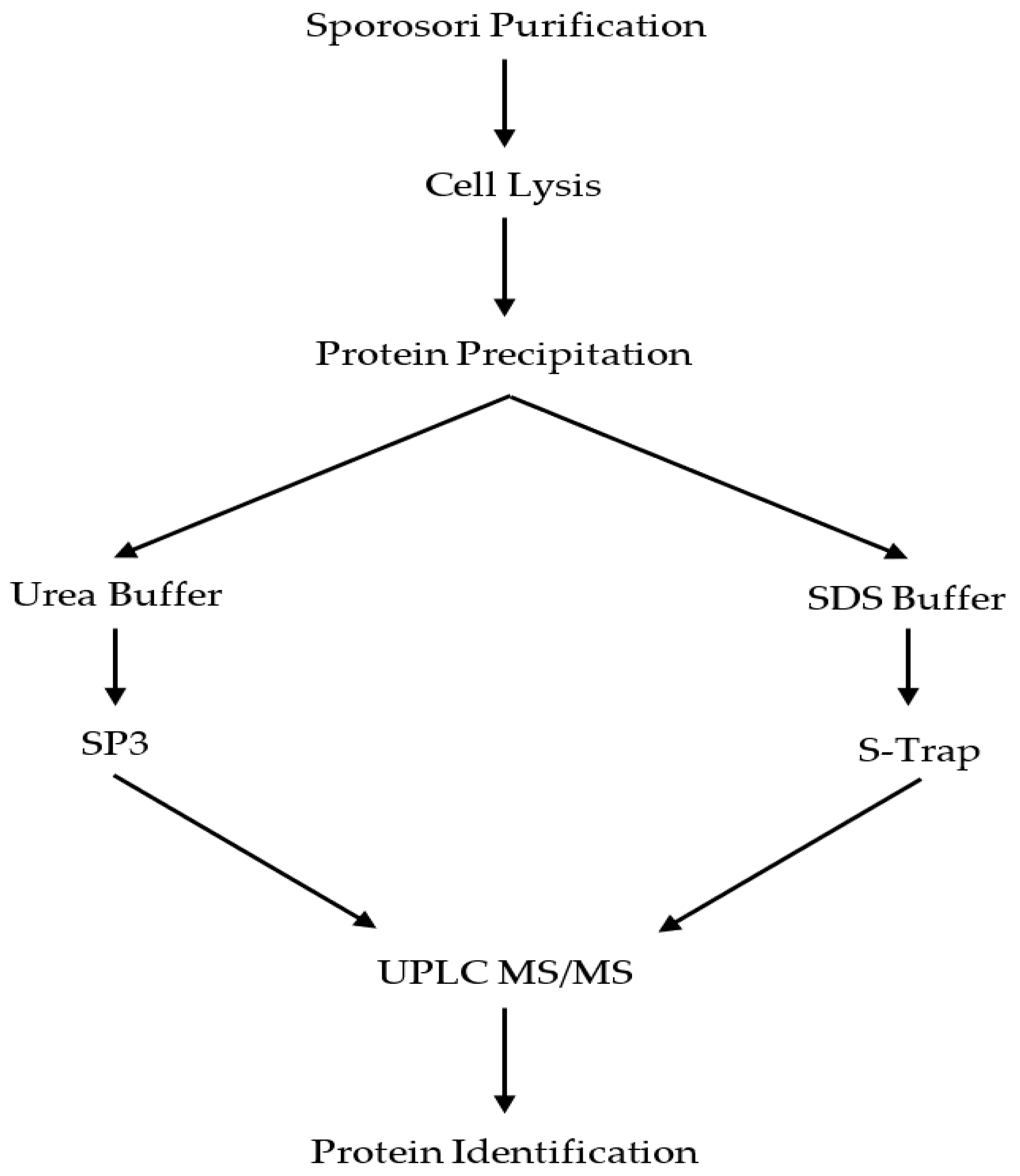 Molecules 25 03109 g006