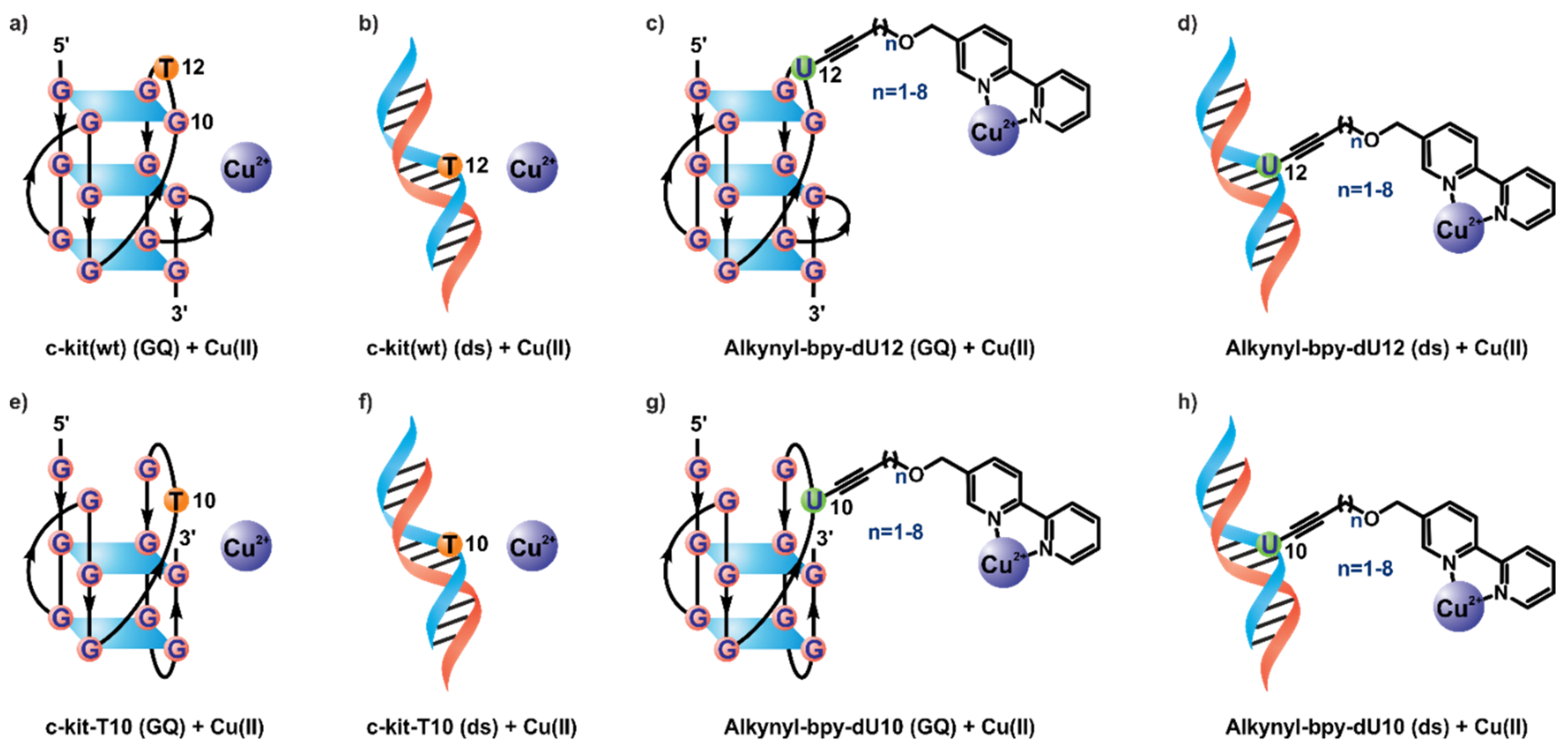 Molecules 25 03121 g001