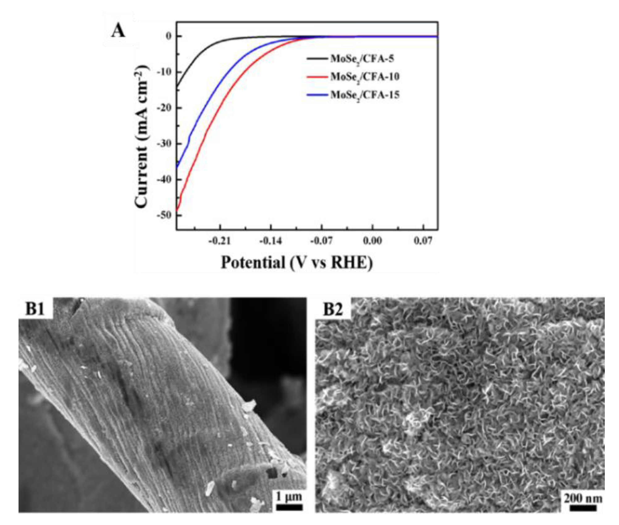 Molecules 25 03123 g003 Molecules 25 03123 g003