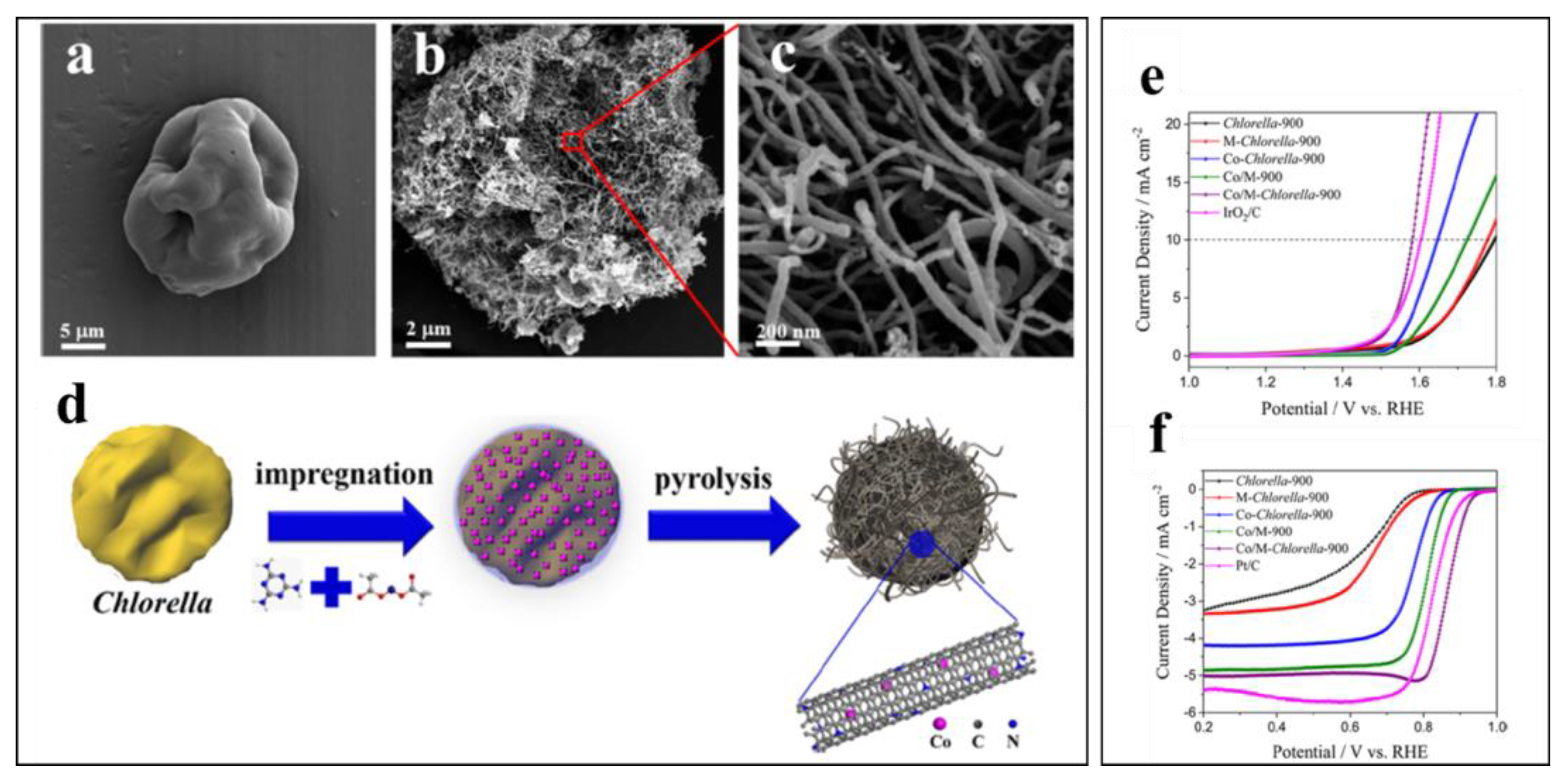 Molecules 25 03123 g004 Molecules 25 03123 g004