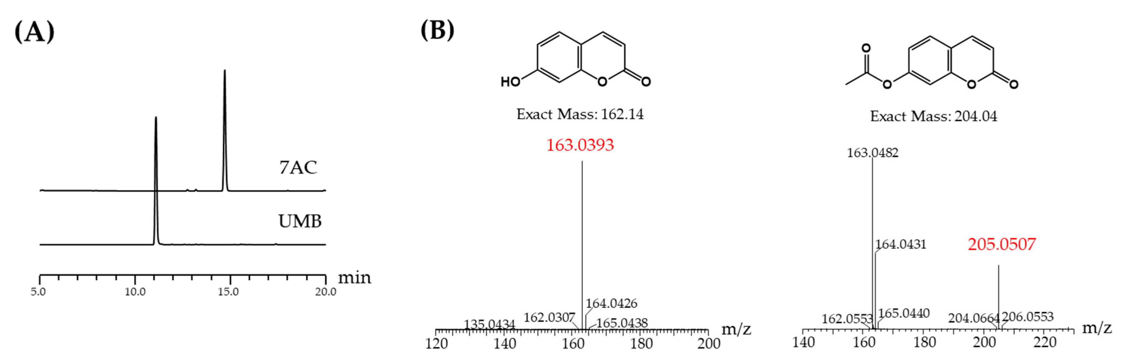 Molecules 25 03124 g001 Molecules 25 03124 g001