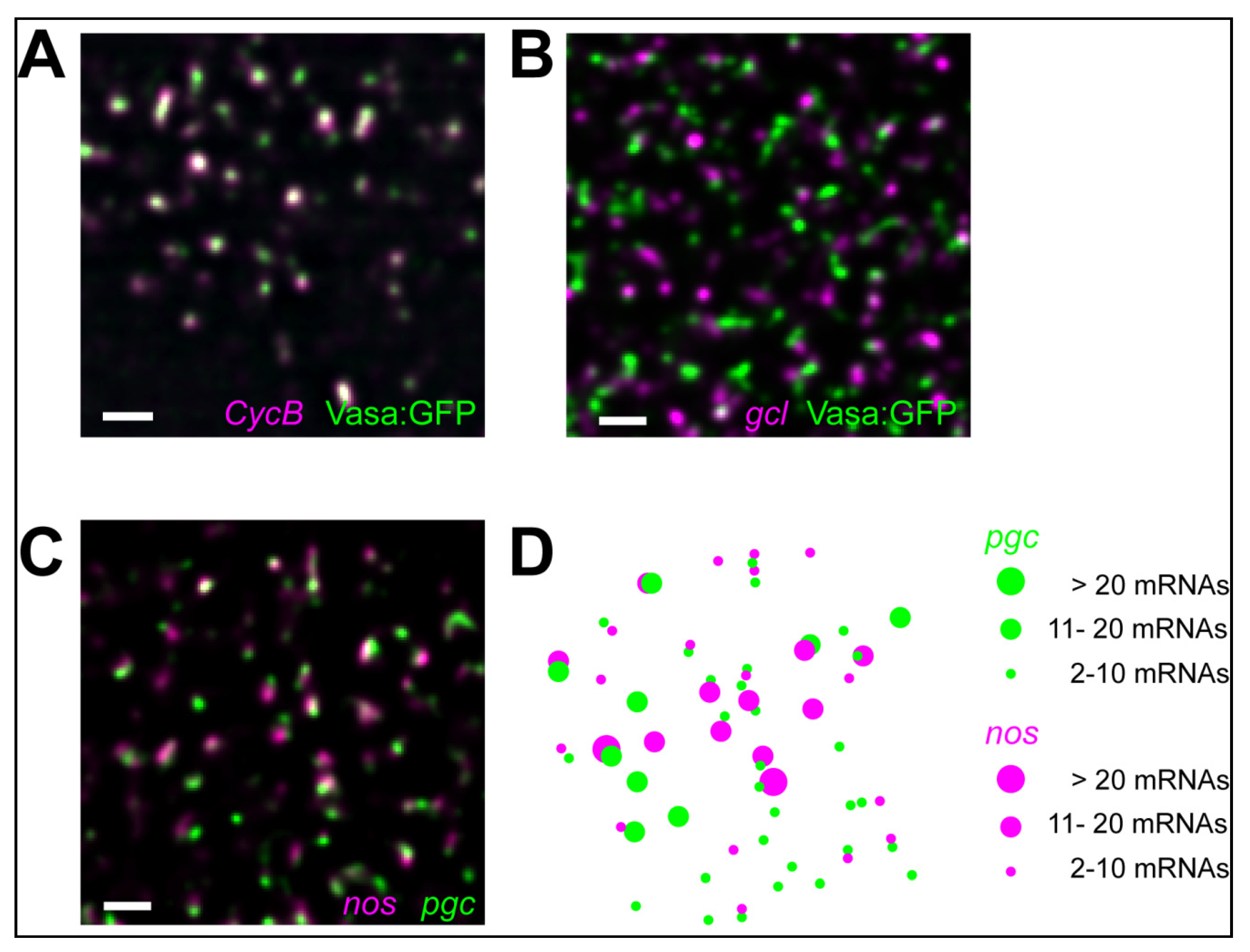 Molecules 25 03130 g003 Molecules 25 03130 g003