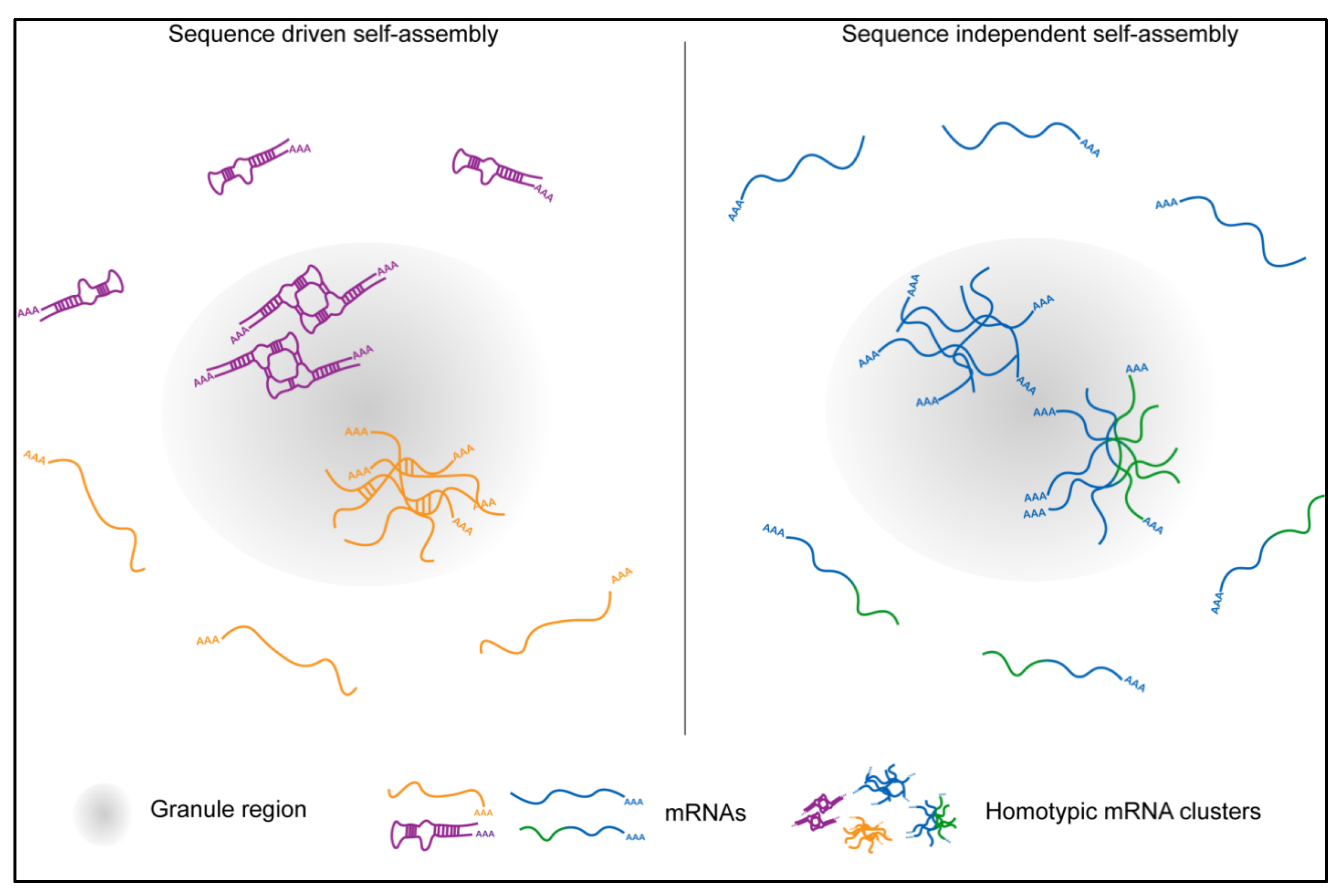 Molecules 25 03130 g004 Molecules 25 03130 g004