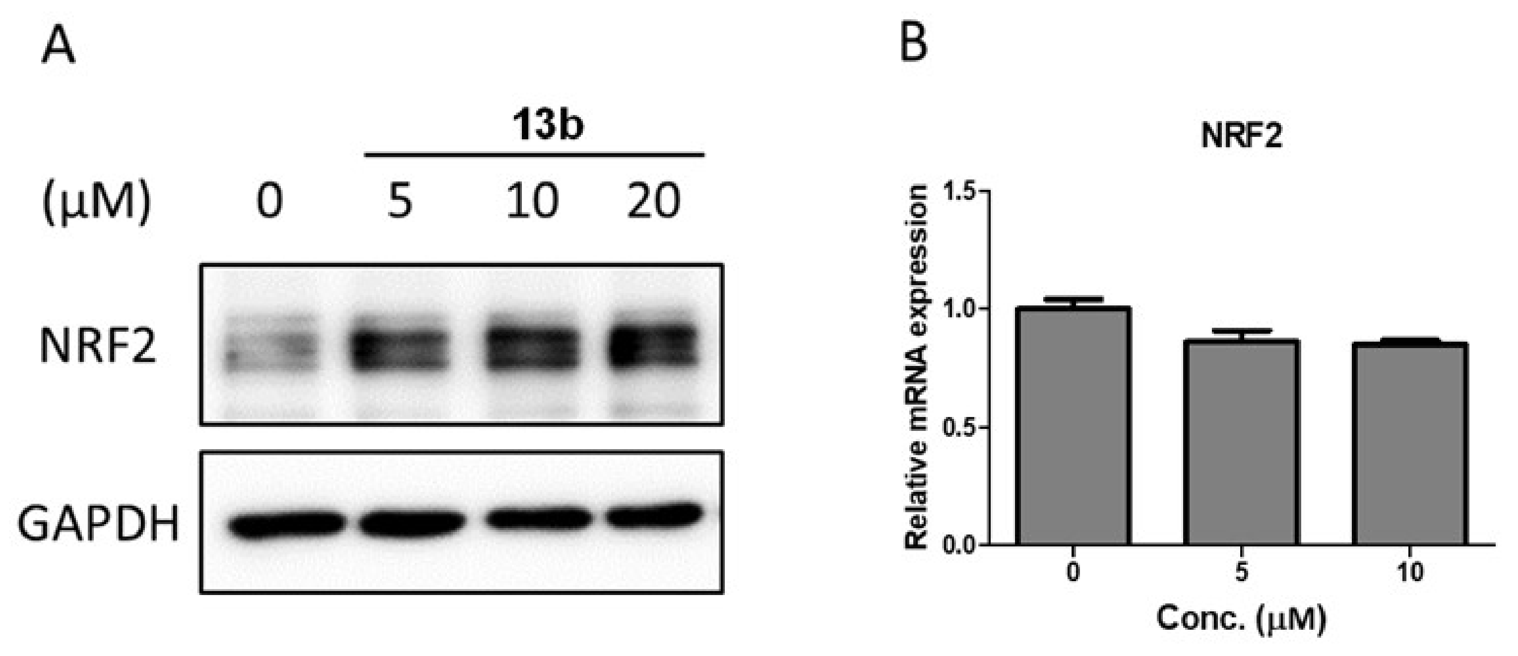 Molecules 25 03133 g005 Molecules 25 03133 g005