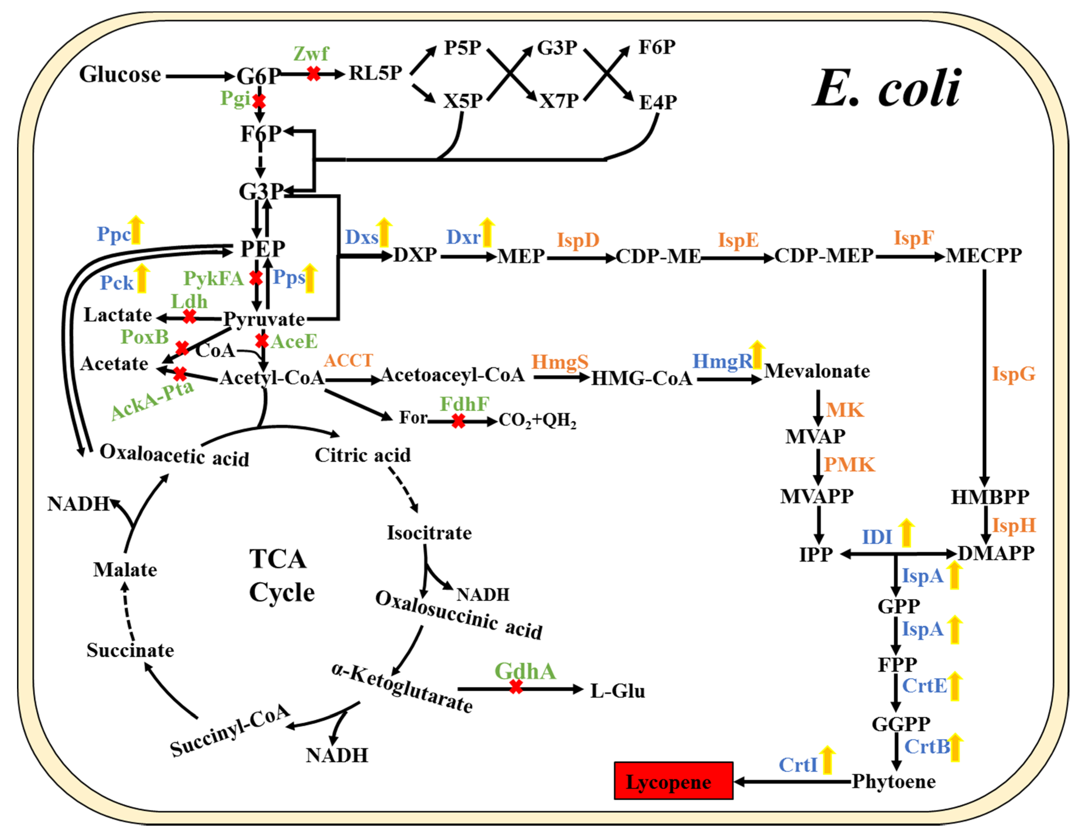 Molecules 25 03136 g002
