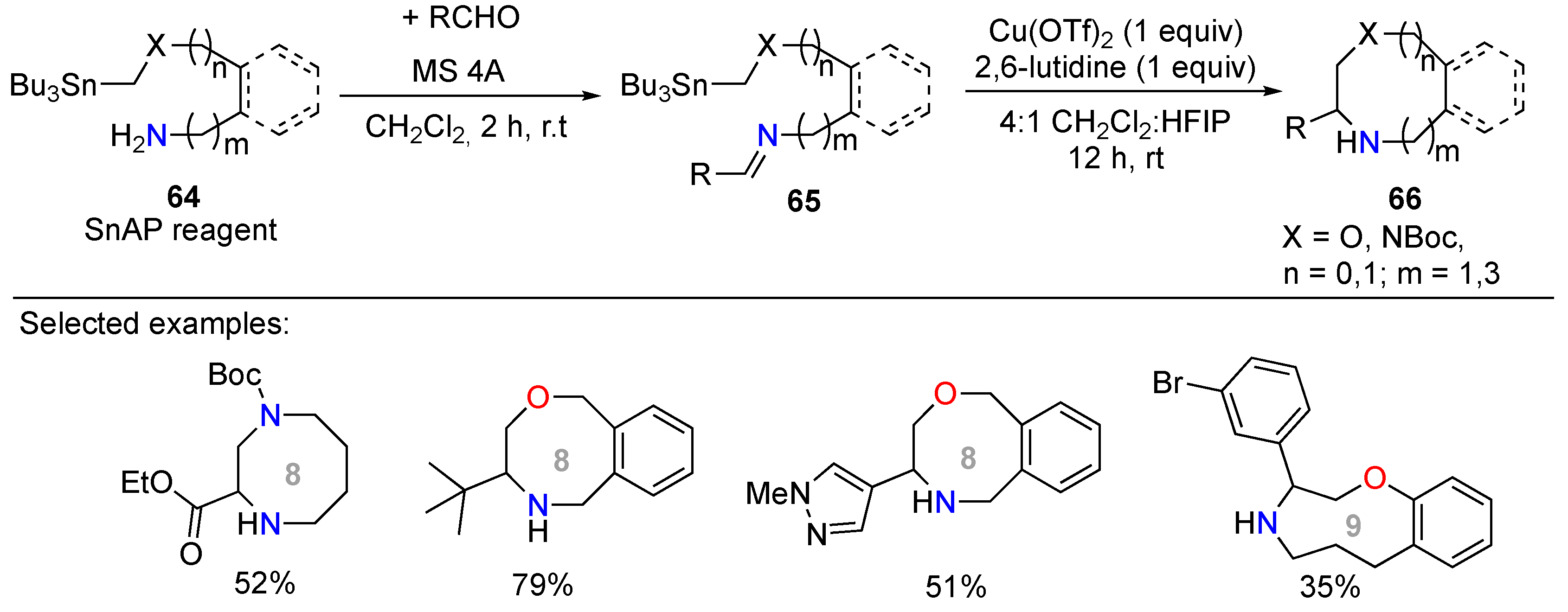 Molecules 25 03147 sch024