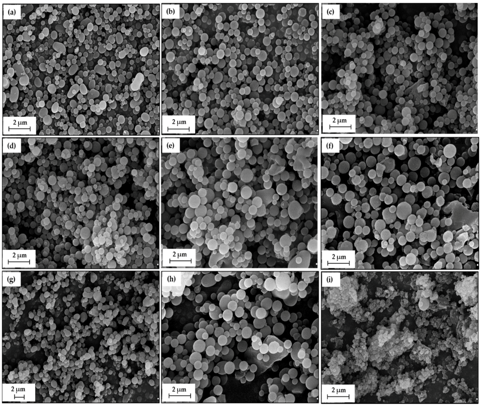 Molecules 25 03150 g001