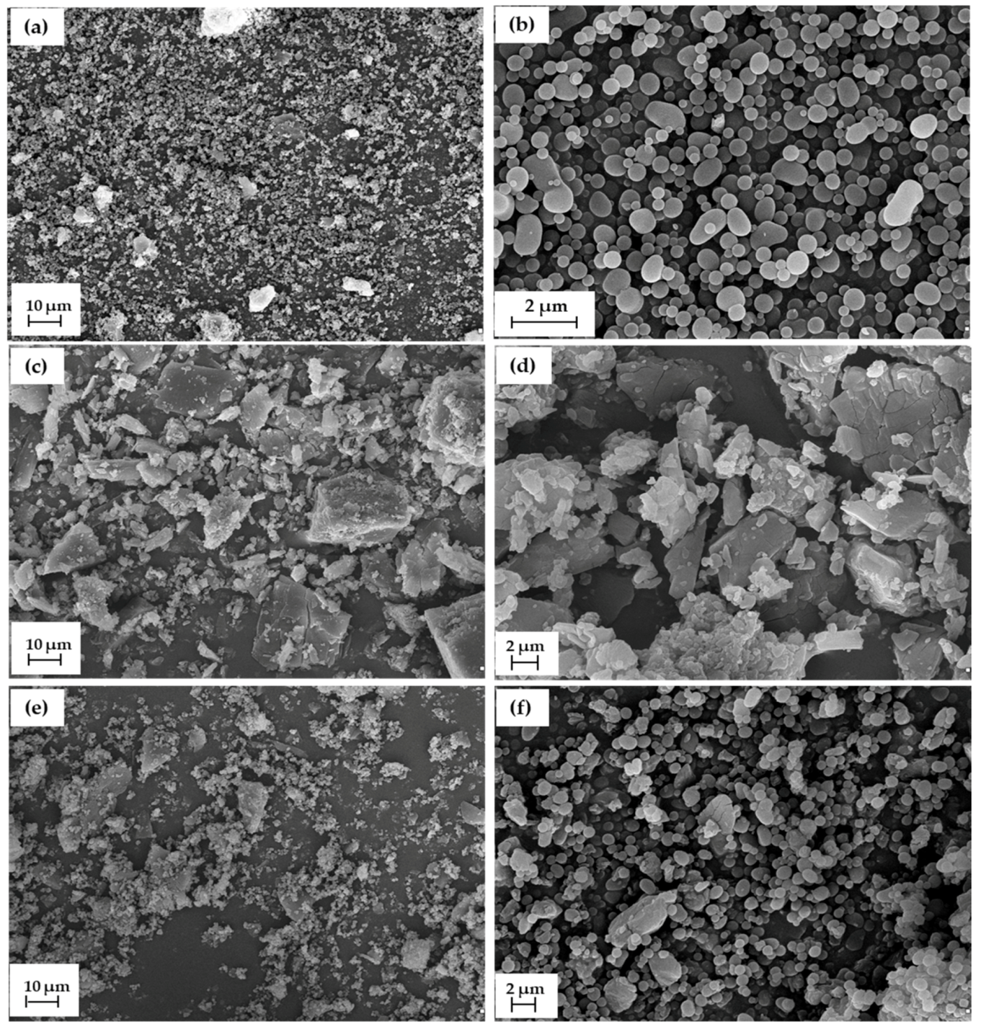 Molecules 25 03150 g002