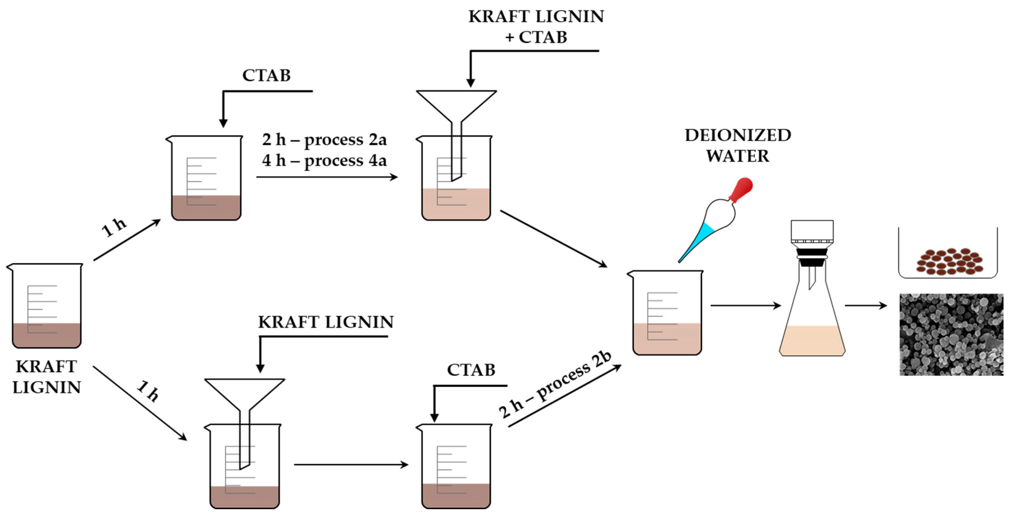 Molecules 25 03150 g009