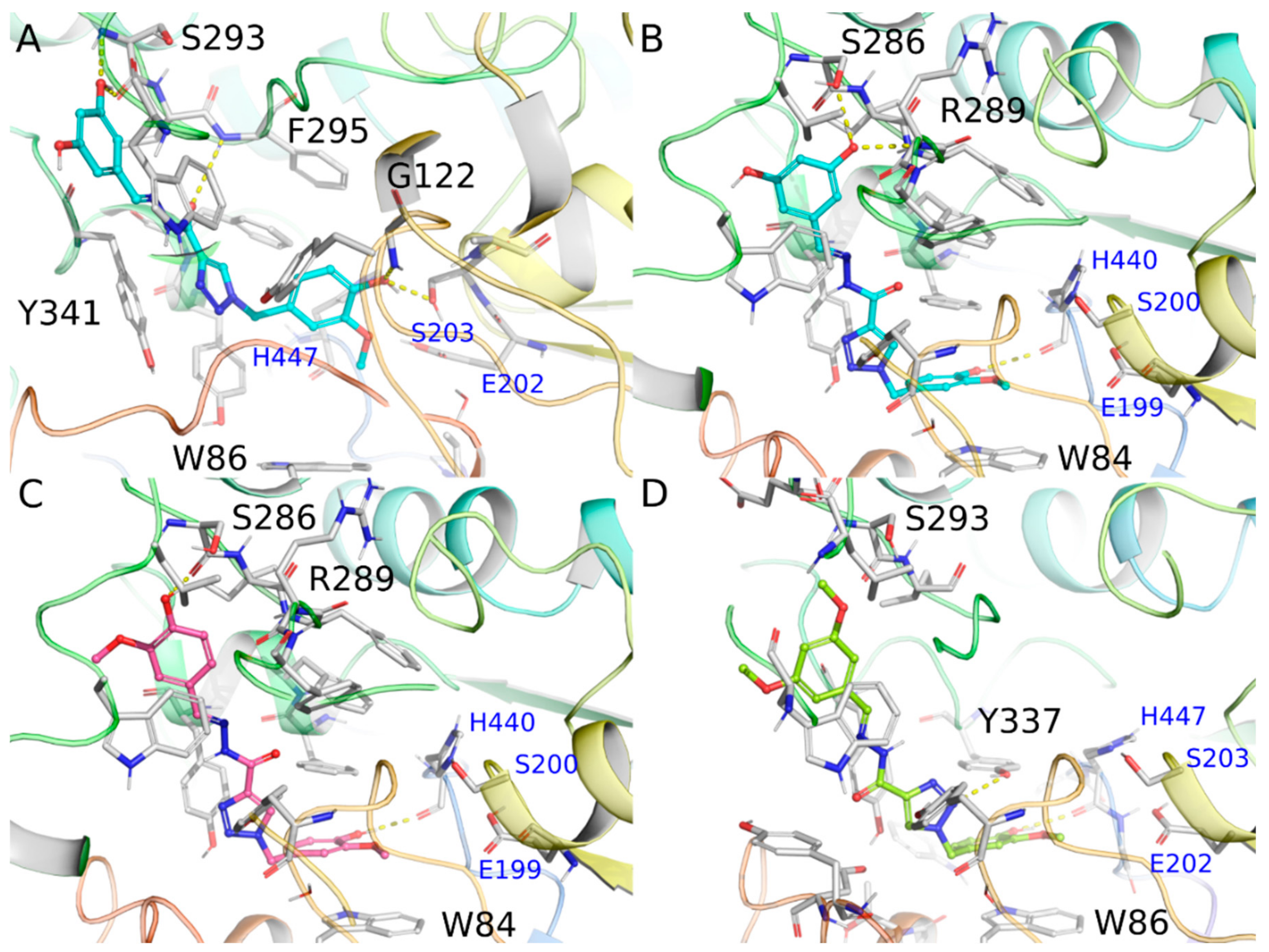 Molecules 25 03165 g004 Molecules 25 03165 g004
