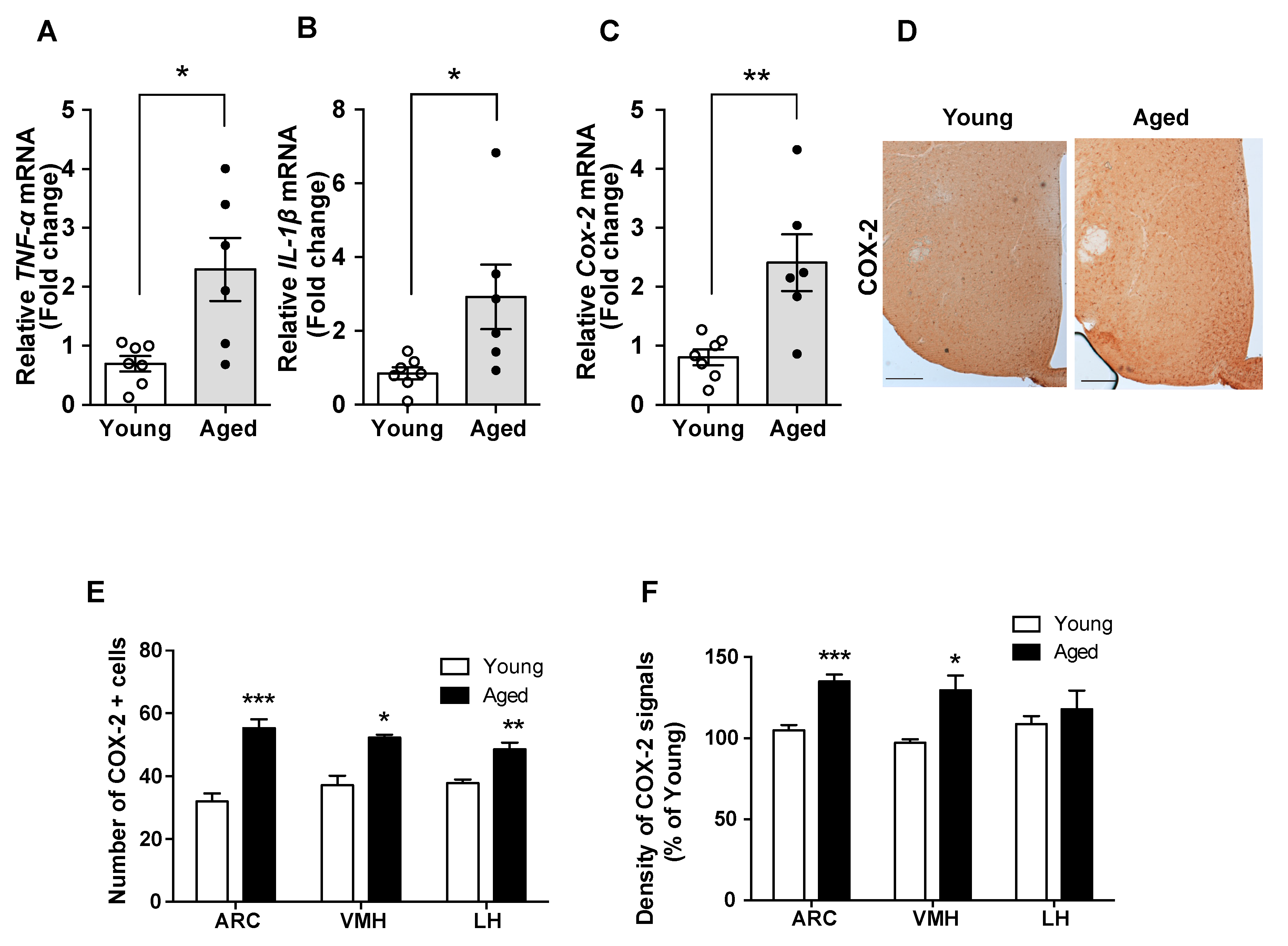 Molecules 25 03170 g001 Molecules 25 03170 g001
