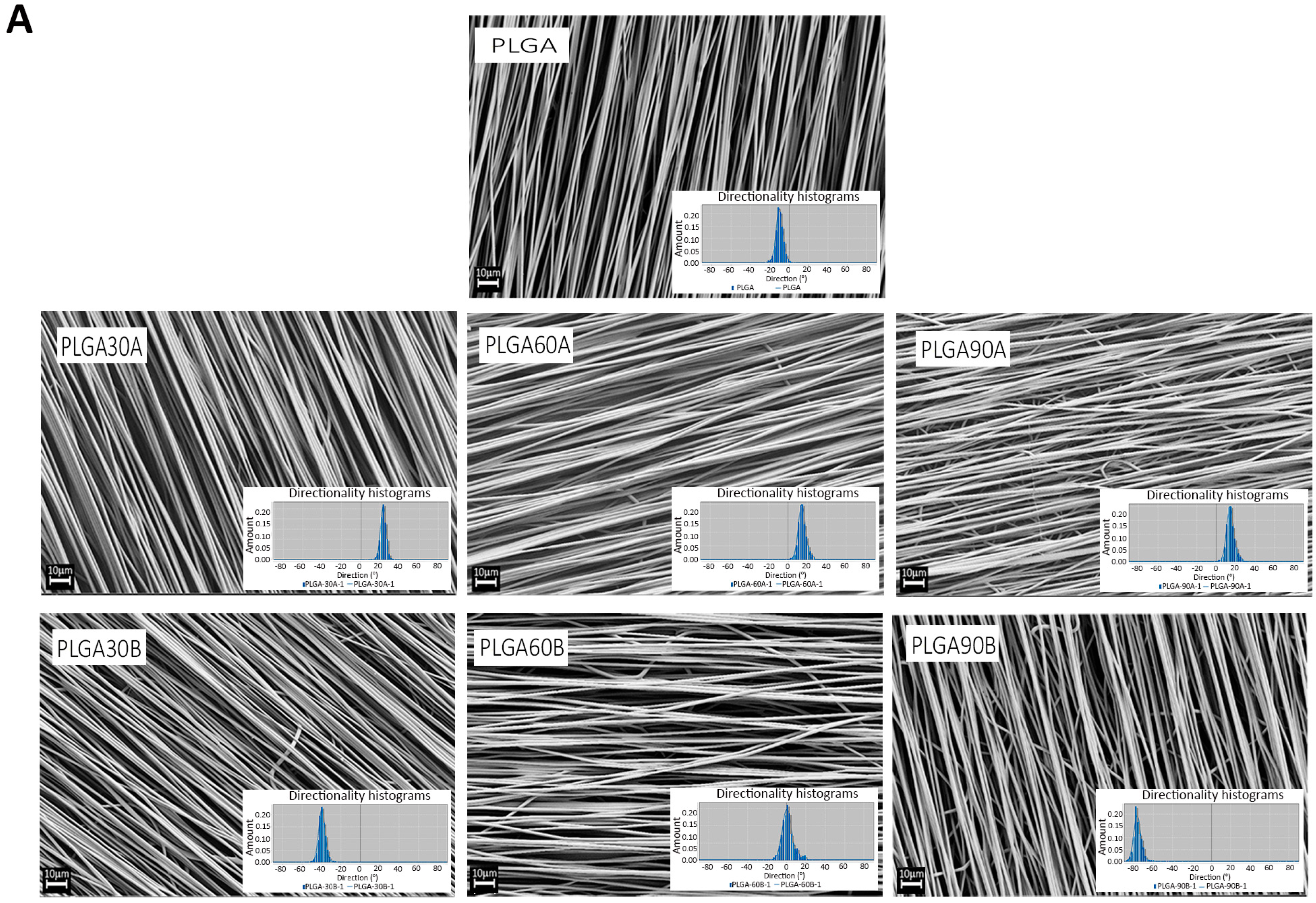 Molecules 25 03176 g002a Molecules 25 03176 g002a