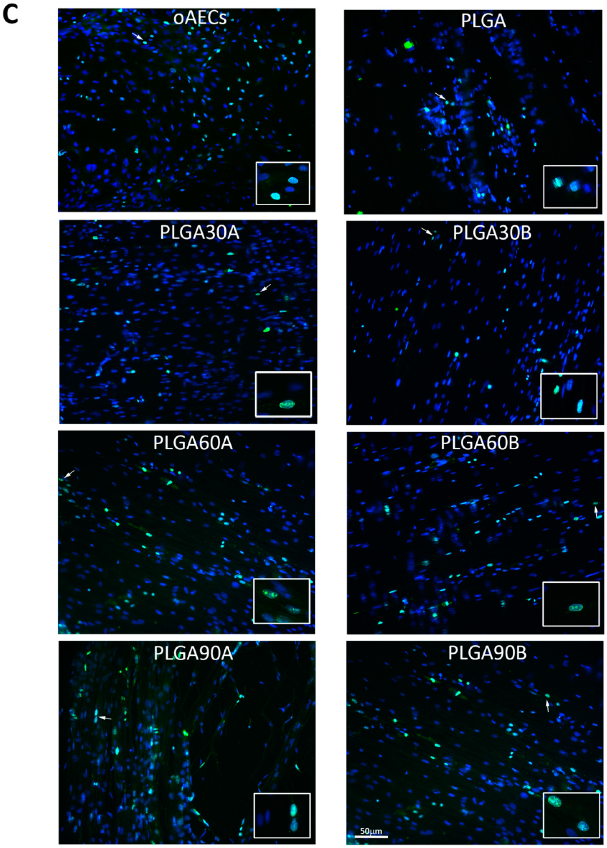 Molecules 25 03176 g007b Molecules 25 03176 g007b