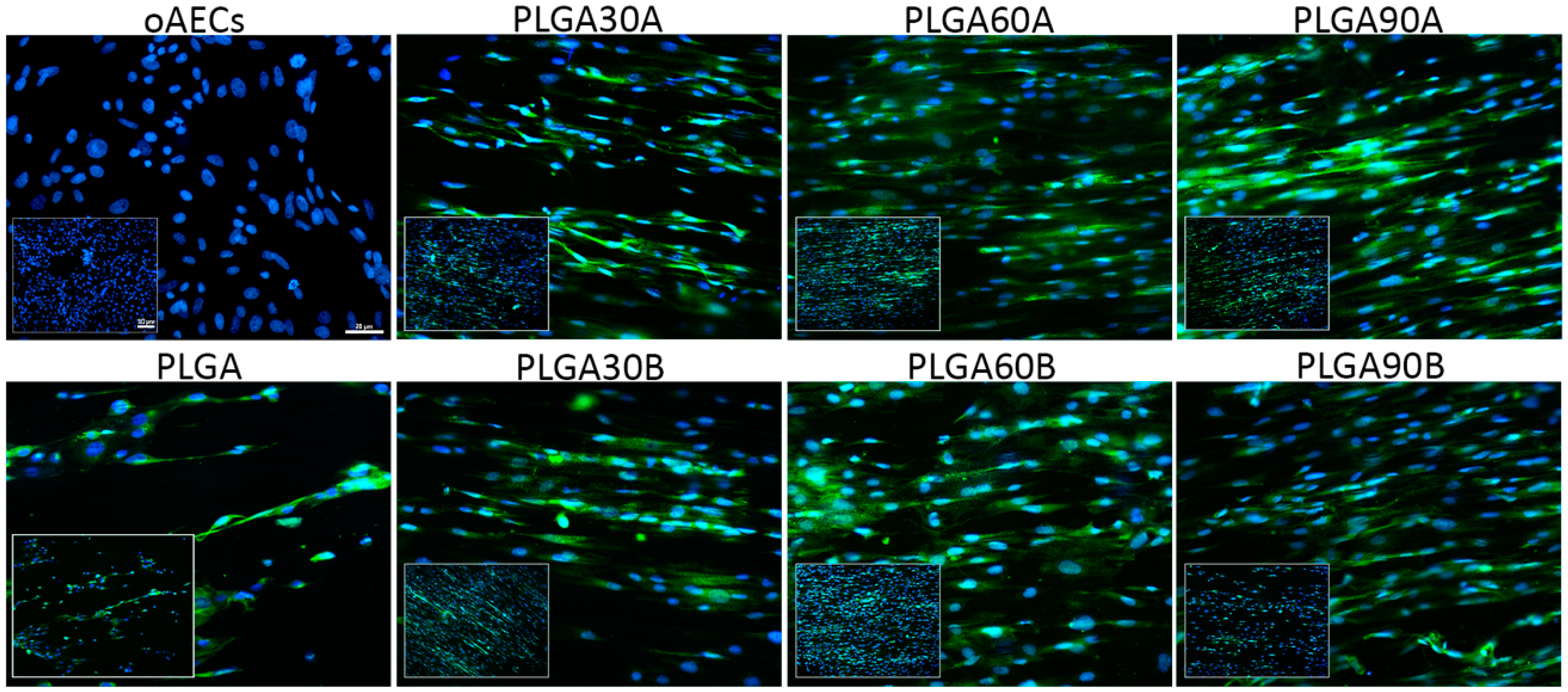 Molecules 25 03176 g008 Molecules 25 03176 g008