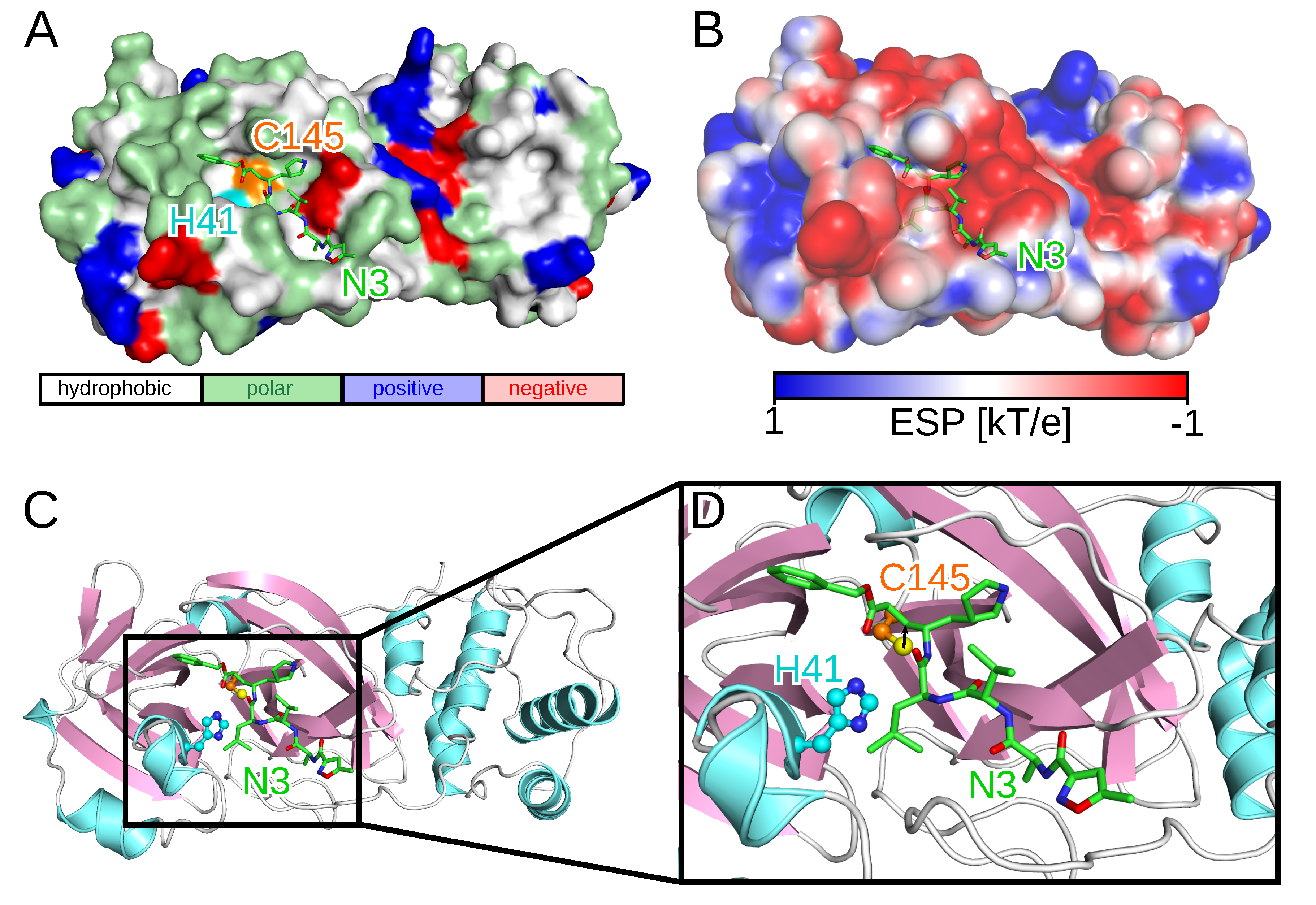 Molecules 25 03193 g001 Molecules 25 03193 g001