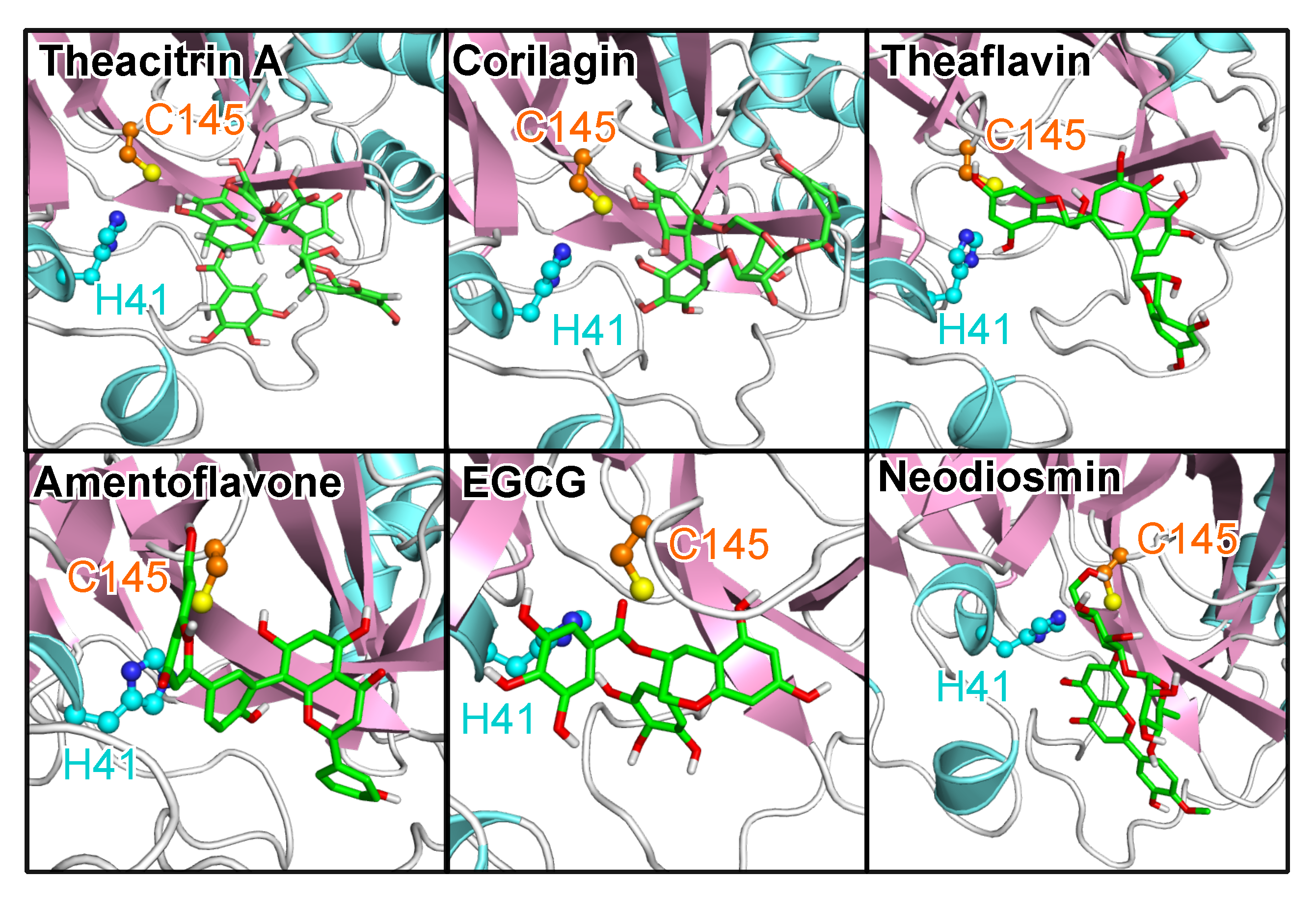 Molecules 25 03193 g007 Molecules 25 03193 g007