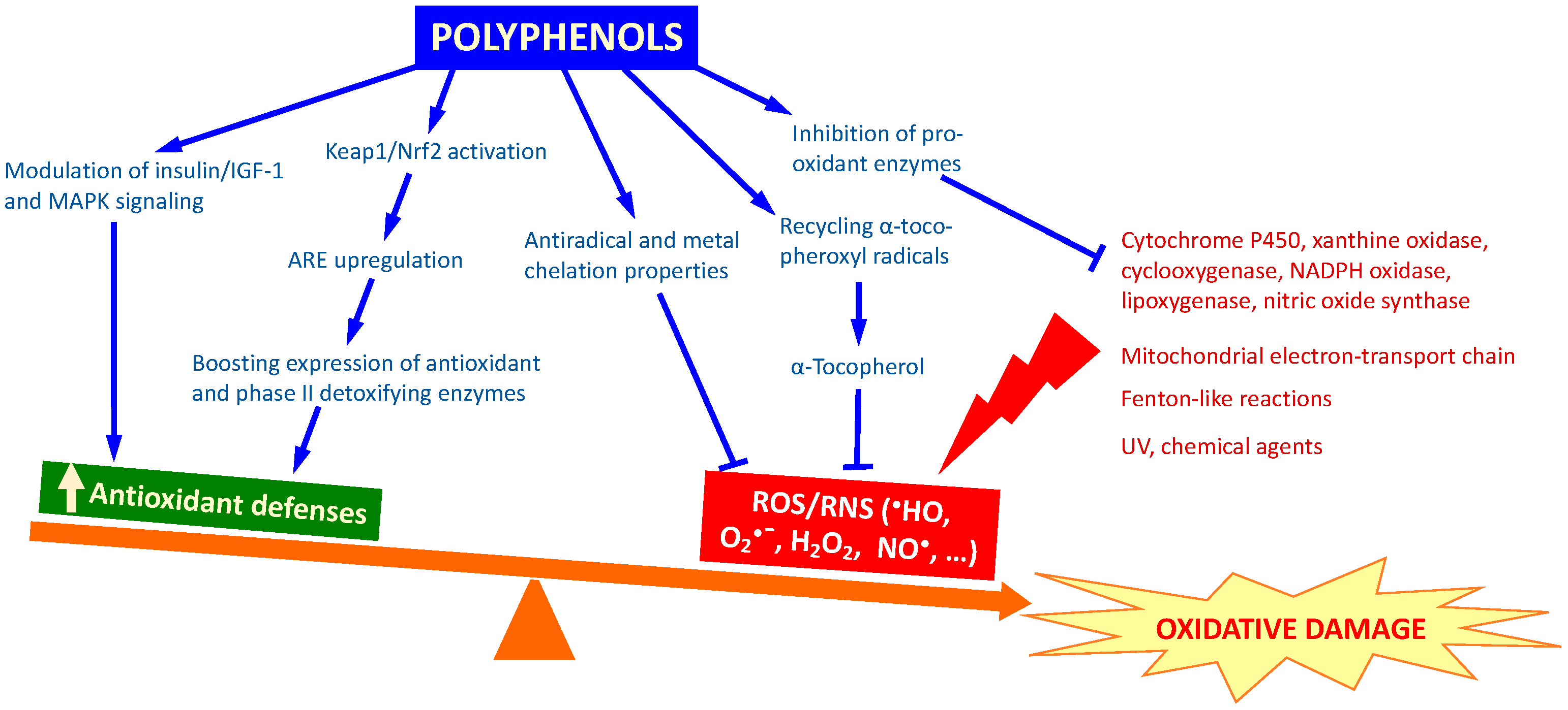 Molecules 25 03194 g001 Molecules 25 03194 g001