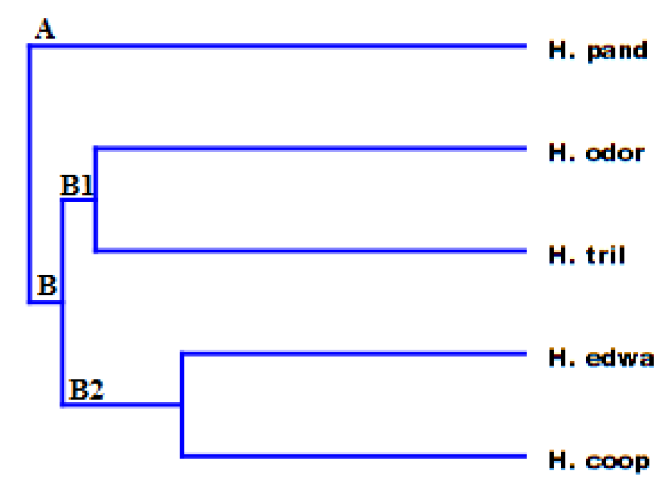 Molecules 25 03196 g006 Molecules 25 03196 g006