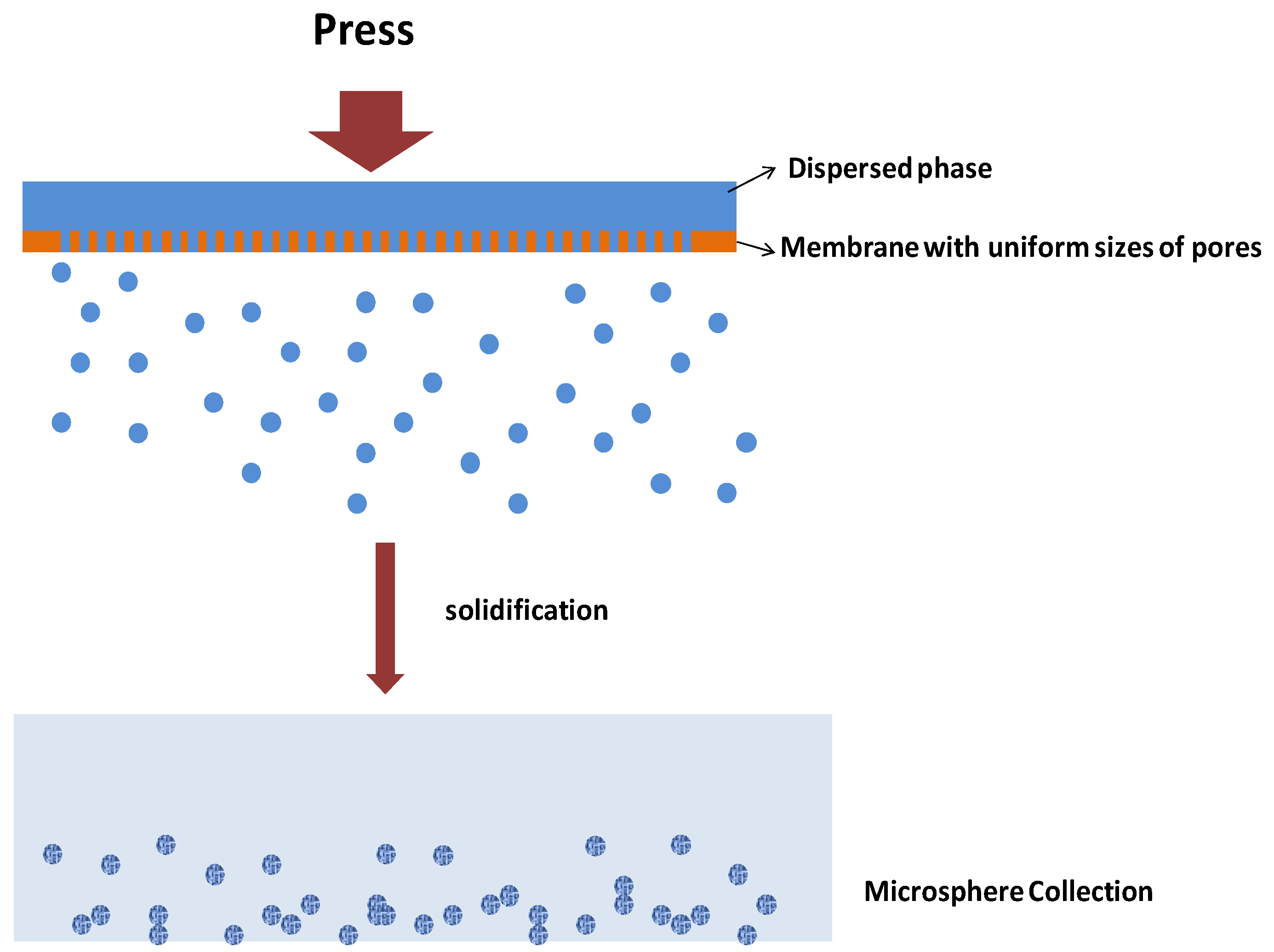 Molecules 25 03202 g004 Molecules 25 03202 g004