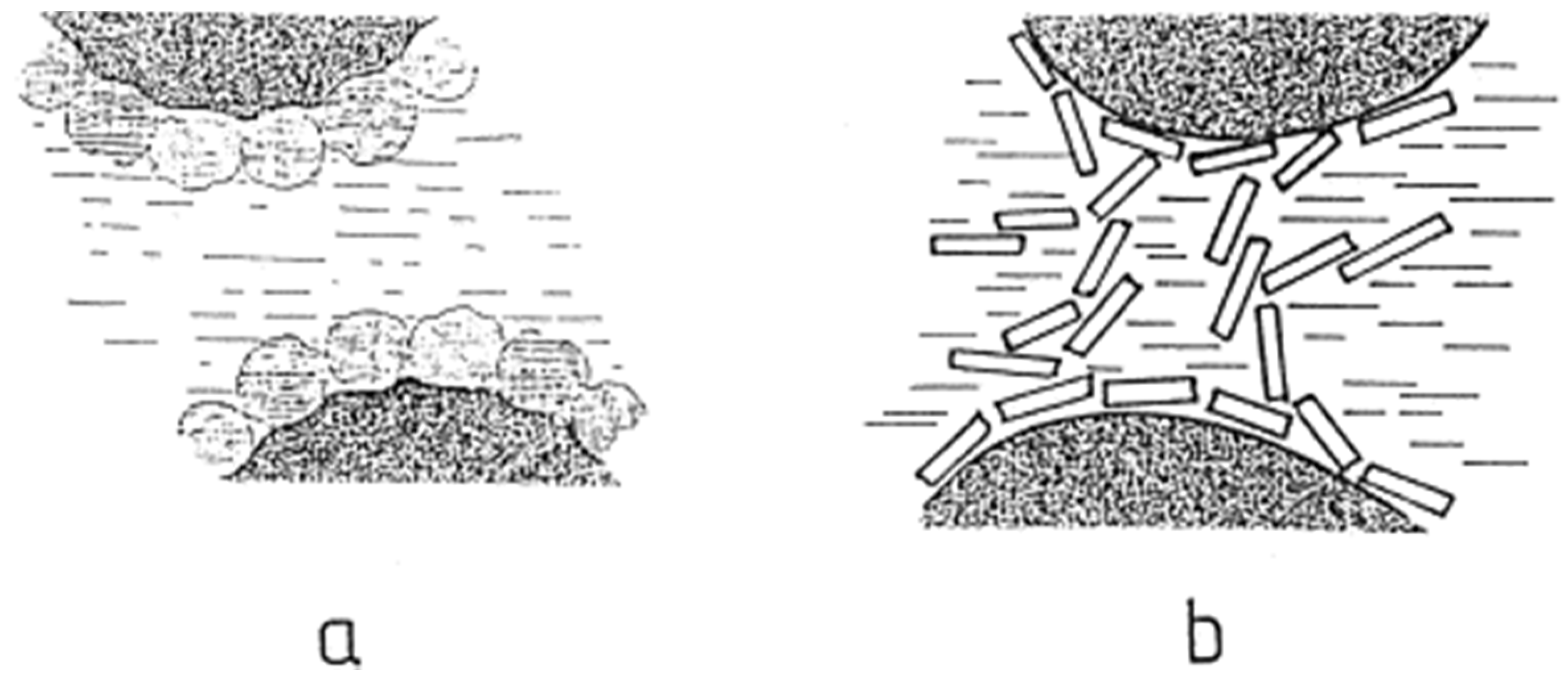 Molecules 25 03202 g007 Molecules 25 03202 g007